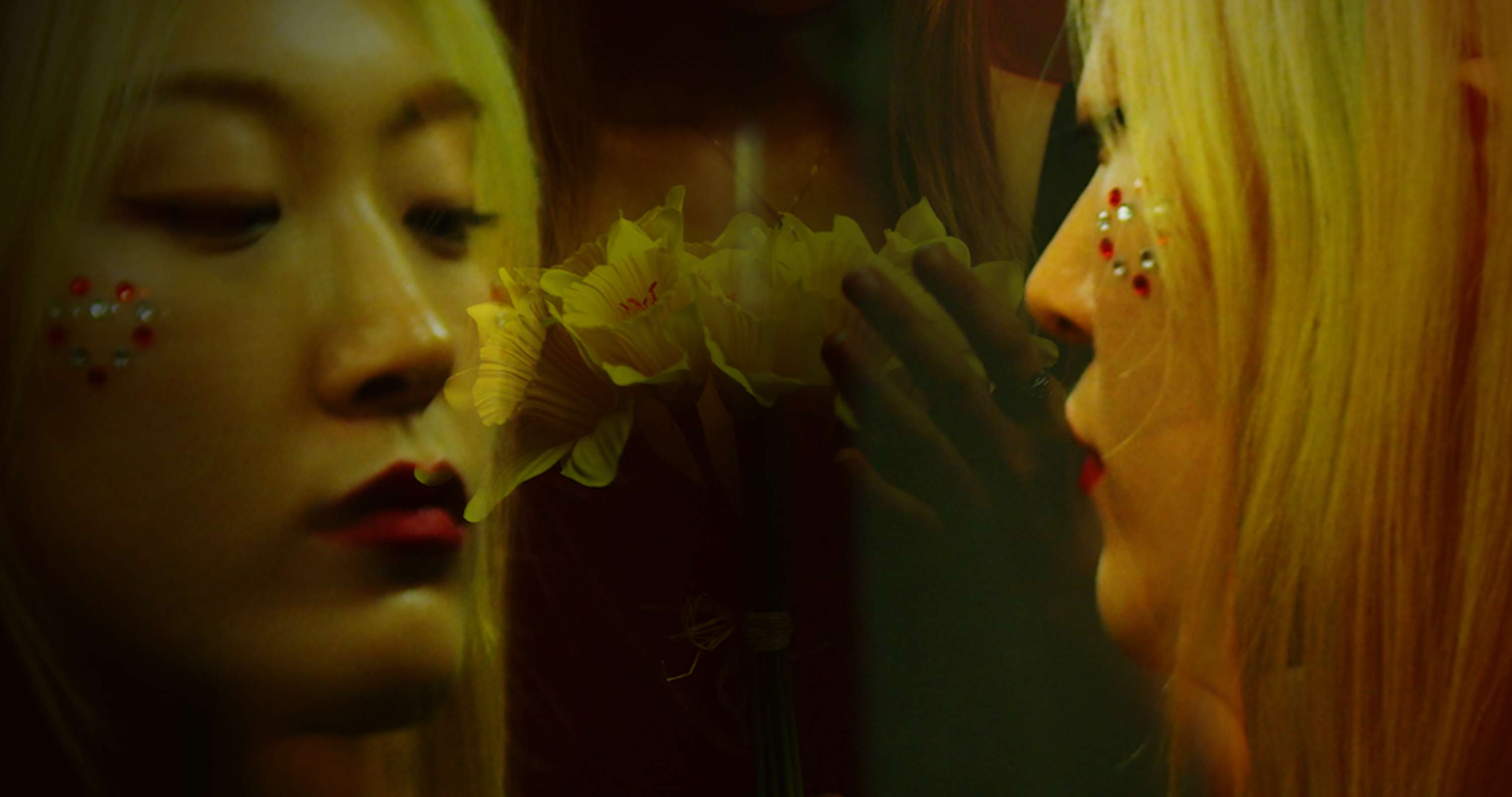 Major Project: Filtered Narcissism by Nia Tzvetanova