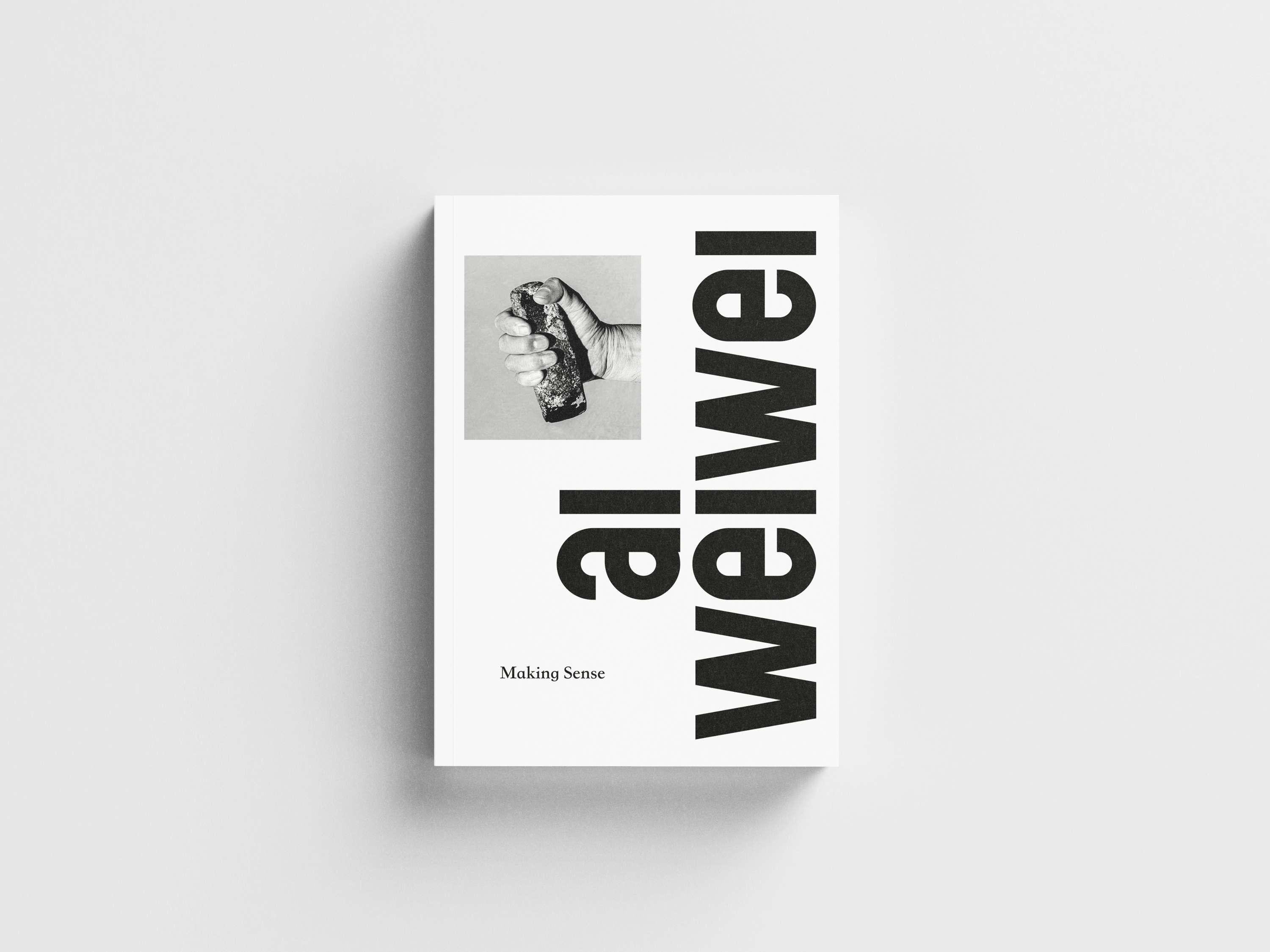 Ai Weiwei: Making Sense by Stefano Mancin