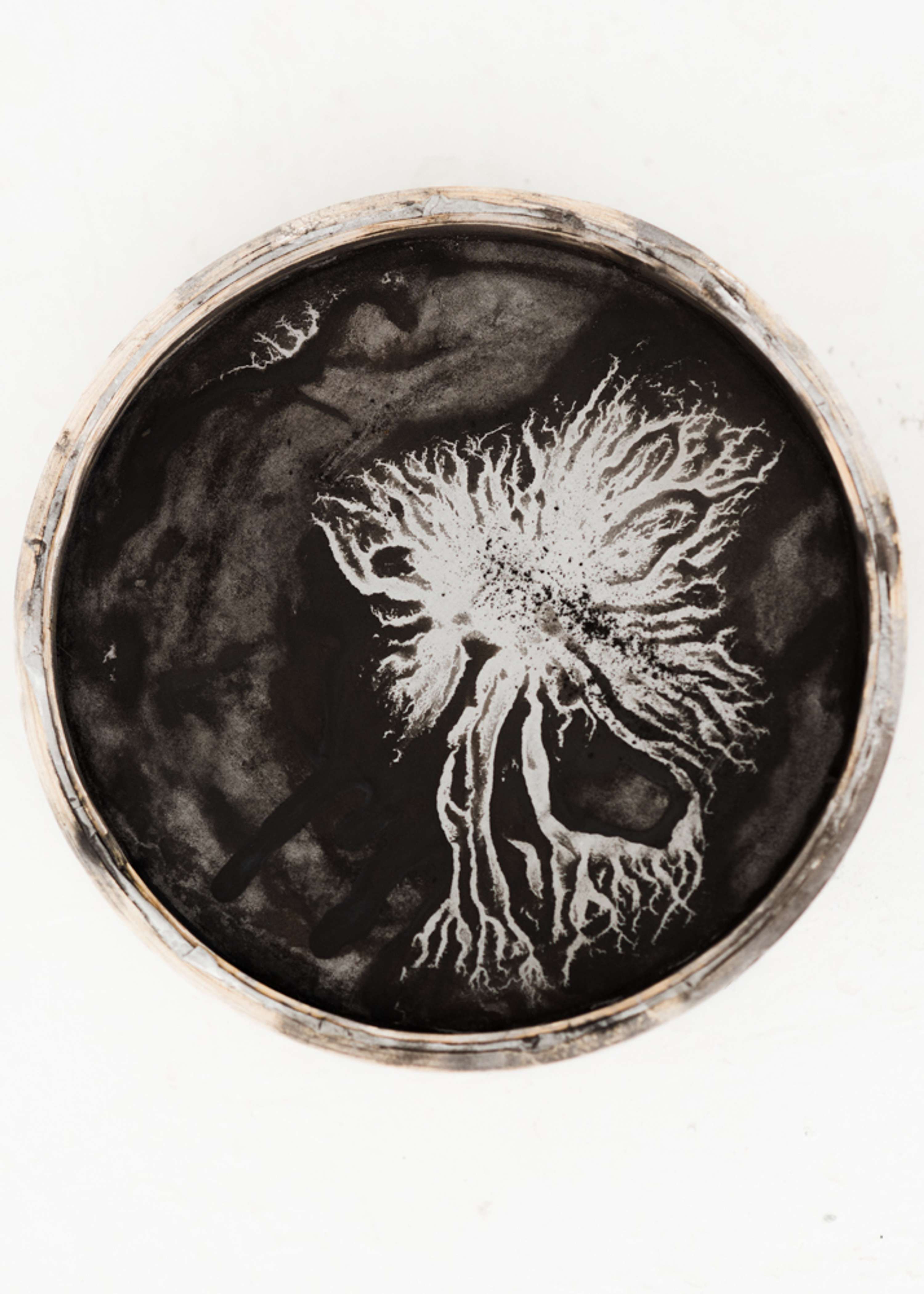 Symbiont by Sandra Franco