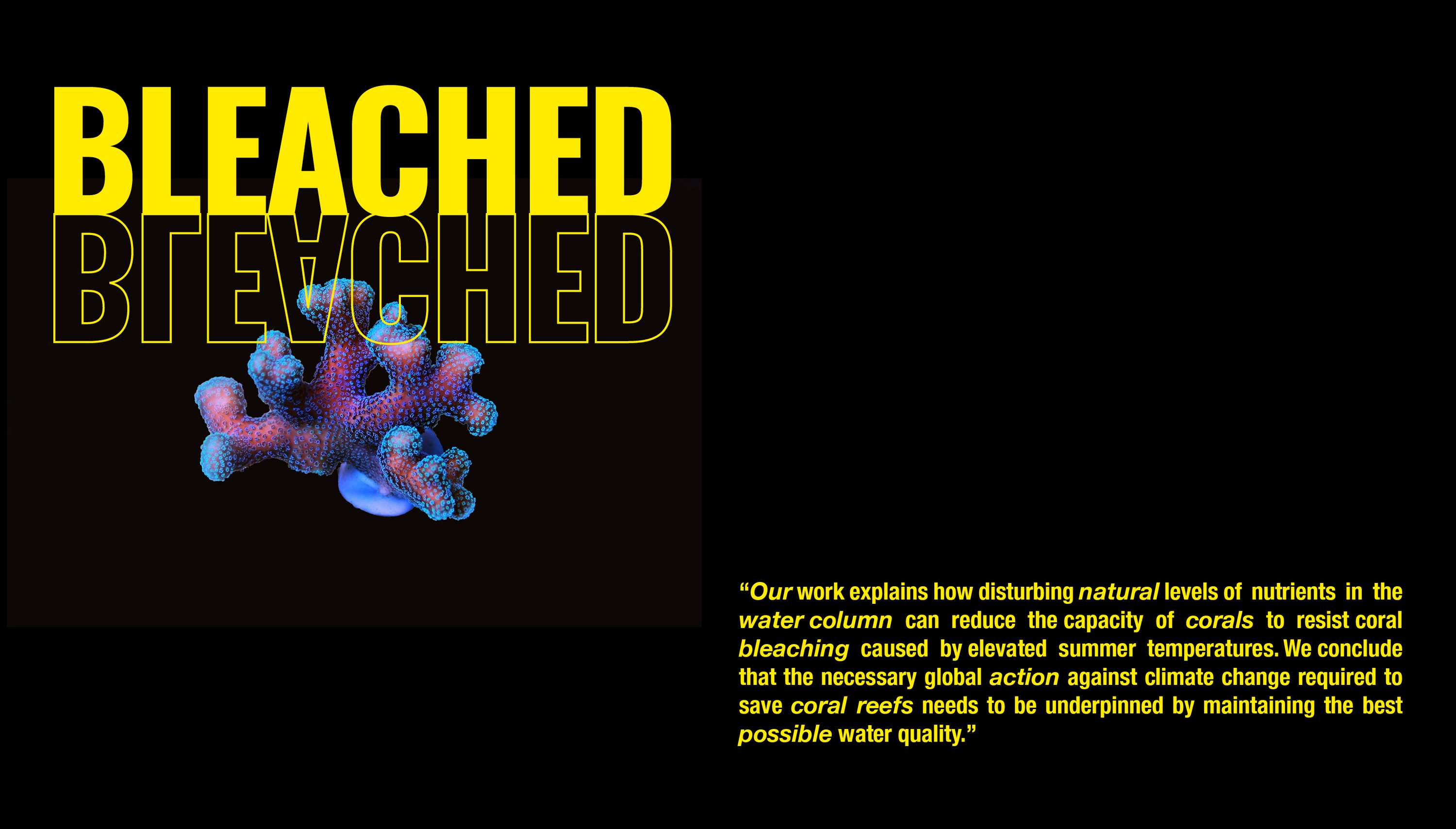 BLEACHED by Jessica Noble