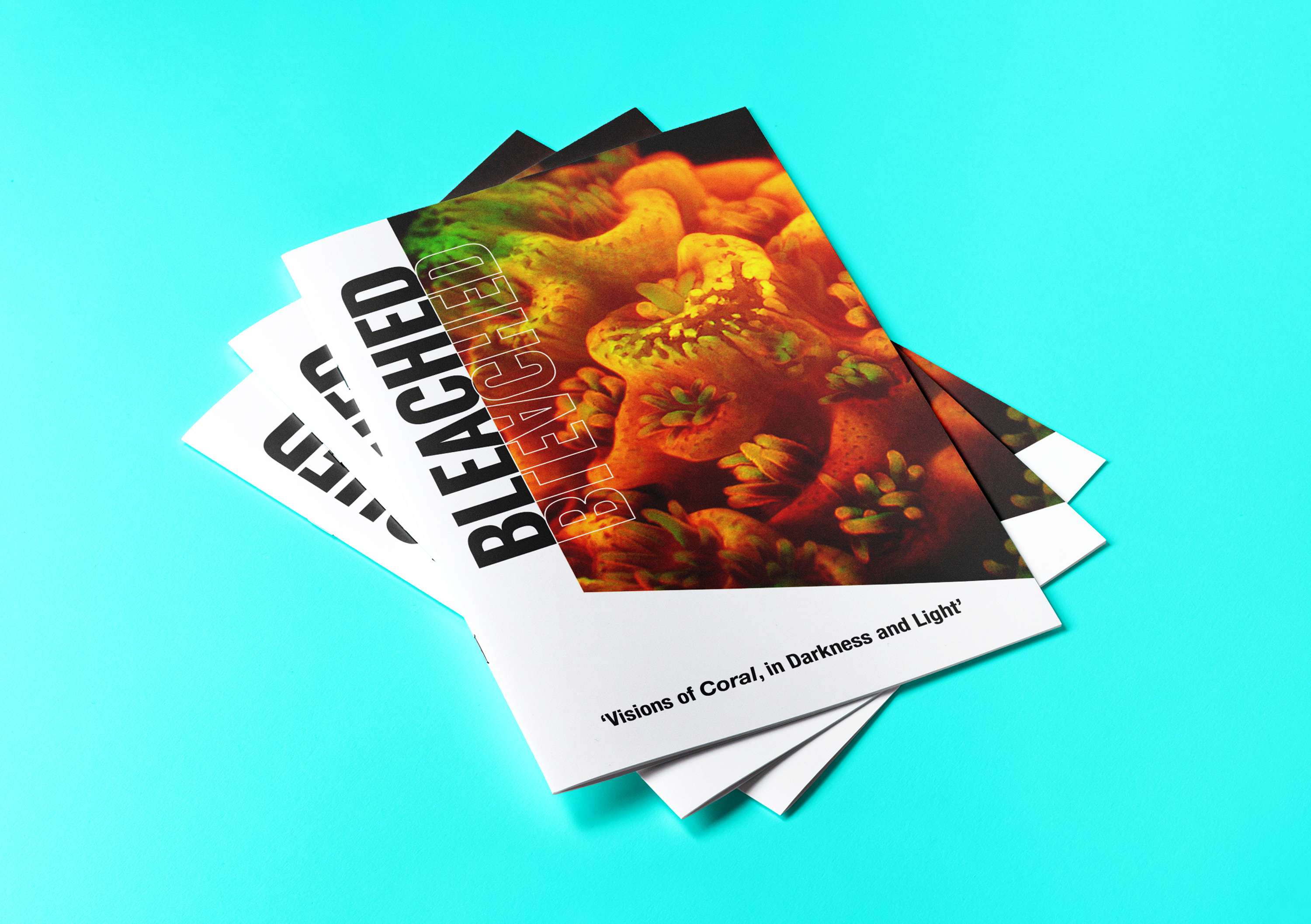 BLEACHED by Jessica Noble