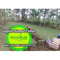 0857 3259 0133, Supplier Rumput Gajah Mini Kediri logo