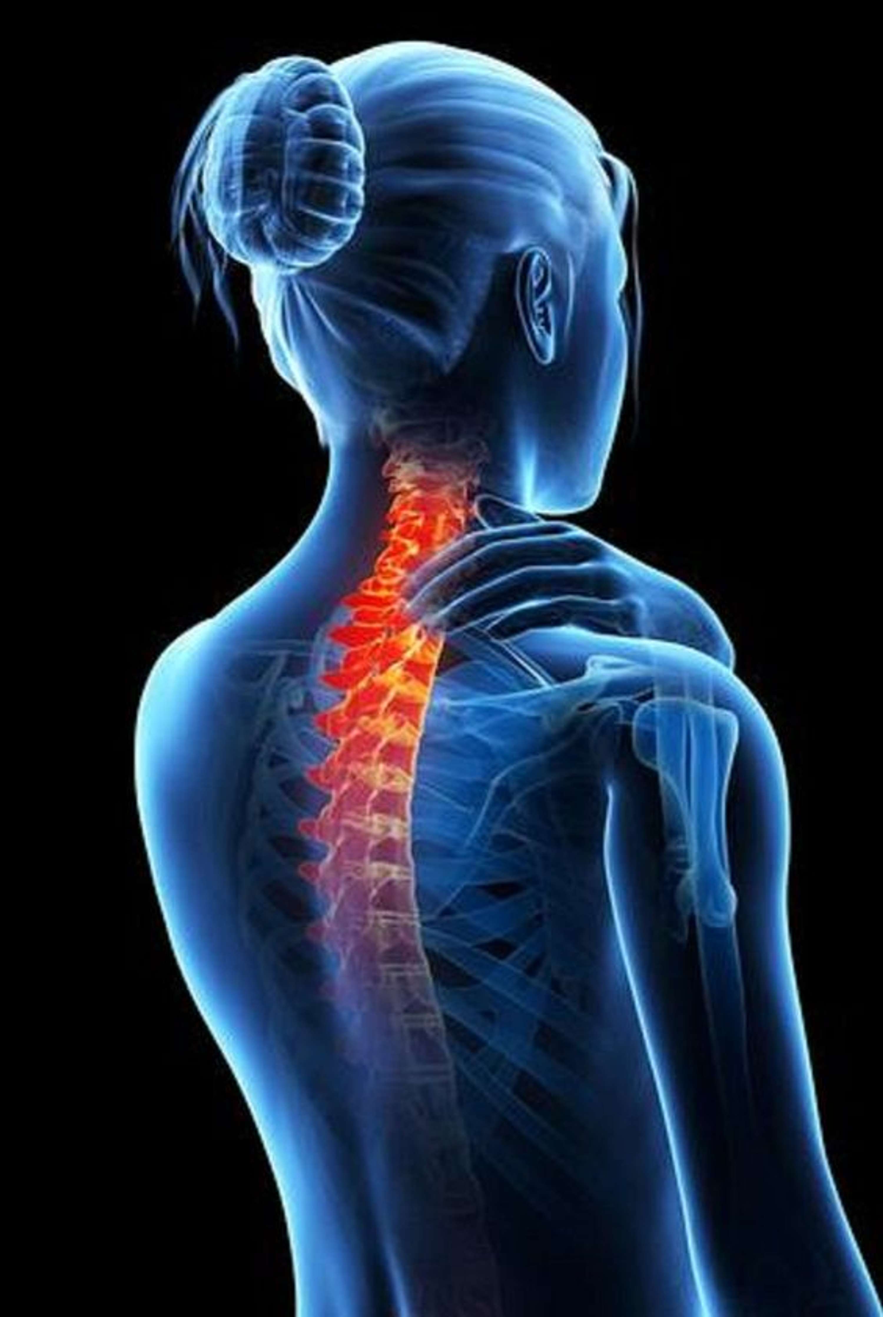 Sera Labs CBD Gummies : Reviews |Reduces Pain, Stress, Anxiety| Benefits & Side Effects..! by CBDSeraLabs US