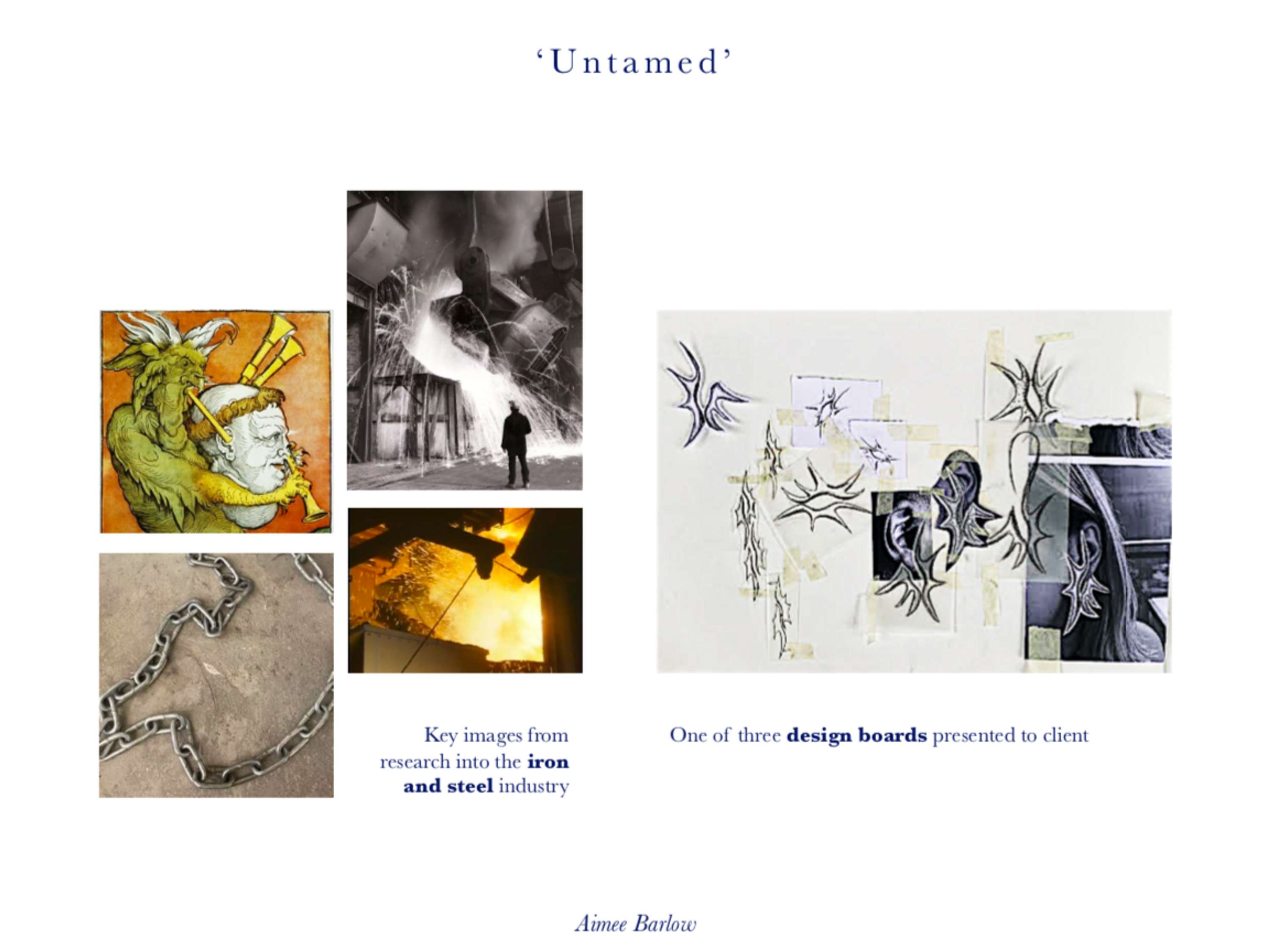 Untamed by Aimee Barlow