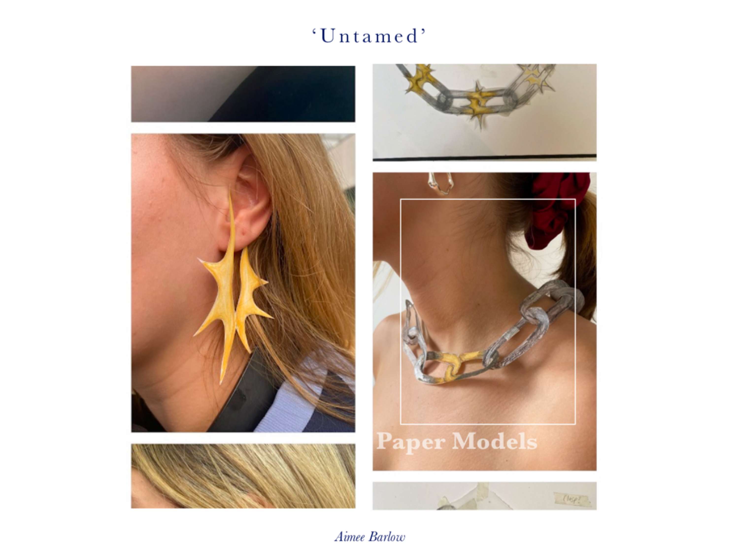 Untamed by Aimee Barlow