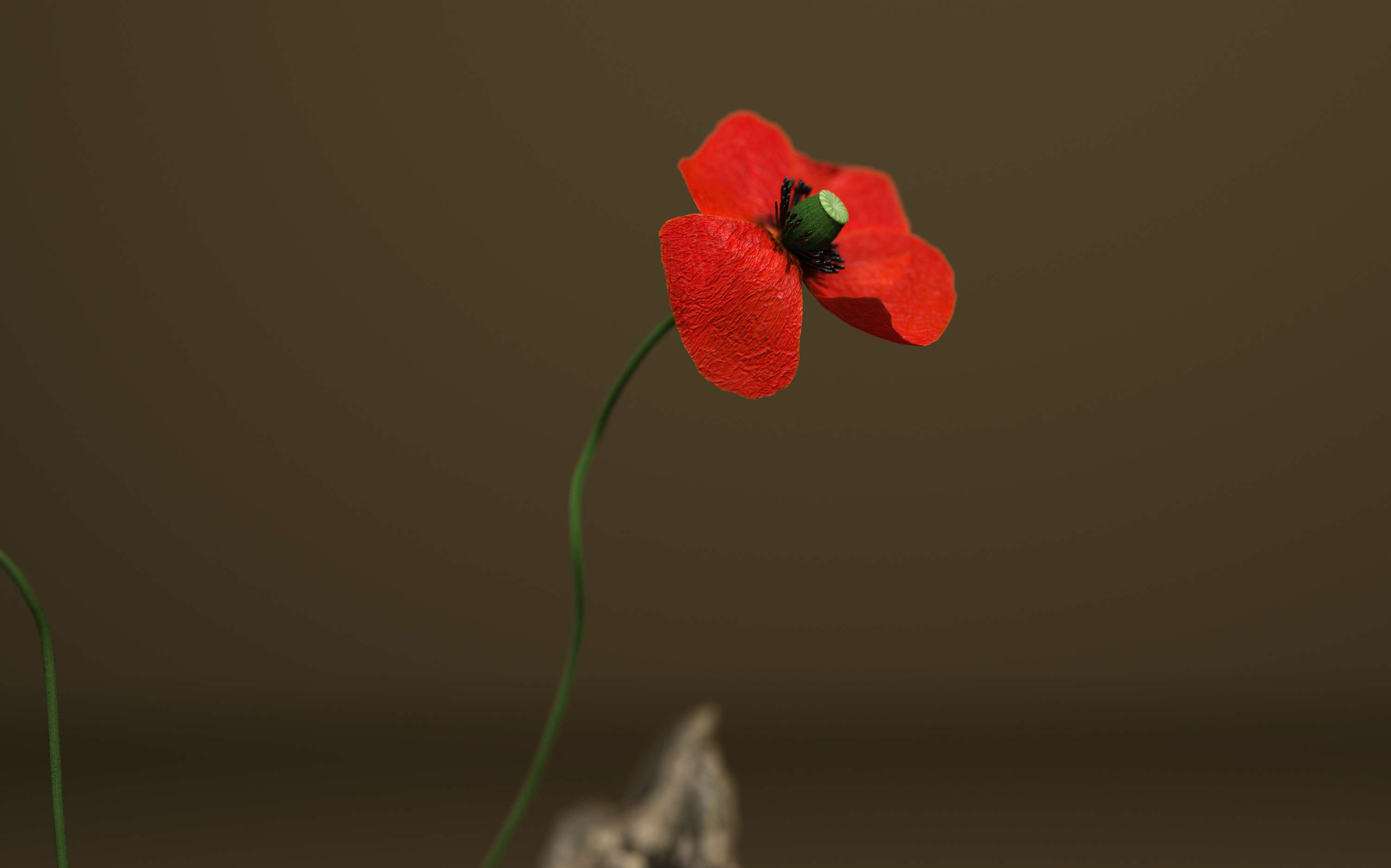Aequilibrium by Sabrina Facchetti