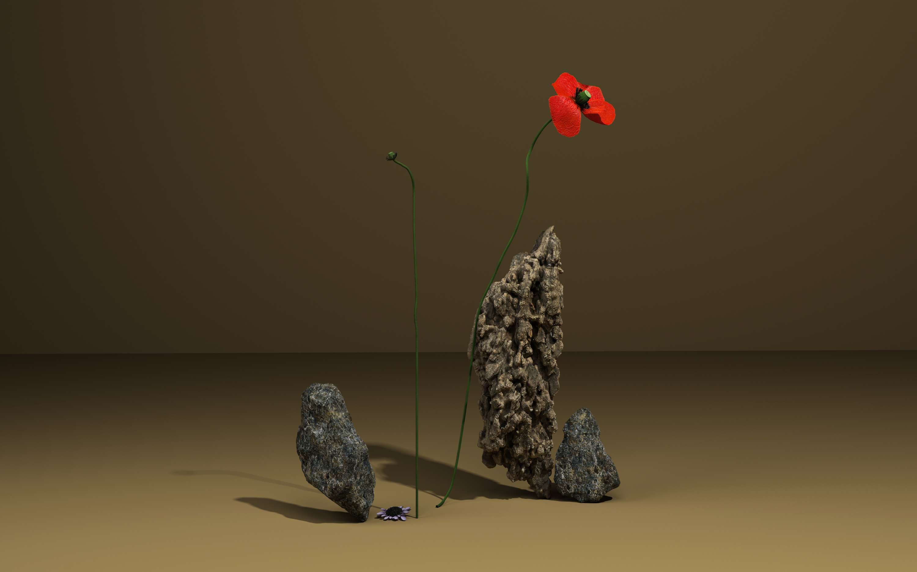 Aequilibrium by Sabrina Facchetti