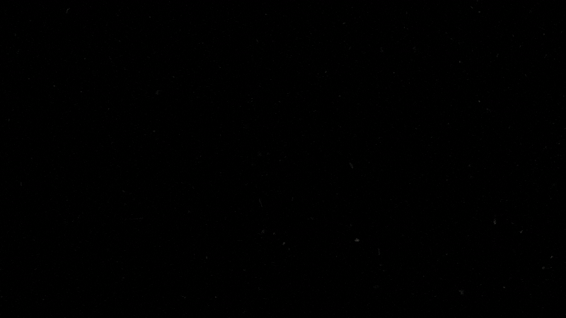 Small Is Beautiful - Type Animation by Shirley Wang