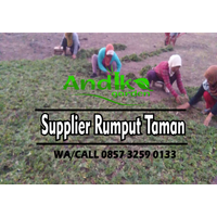 0857 3259 0133, Biaya Rumput Gajah Mini Pamekasan logo