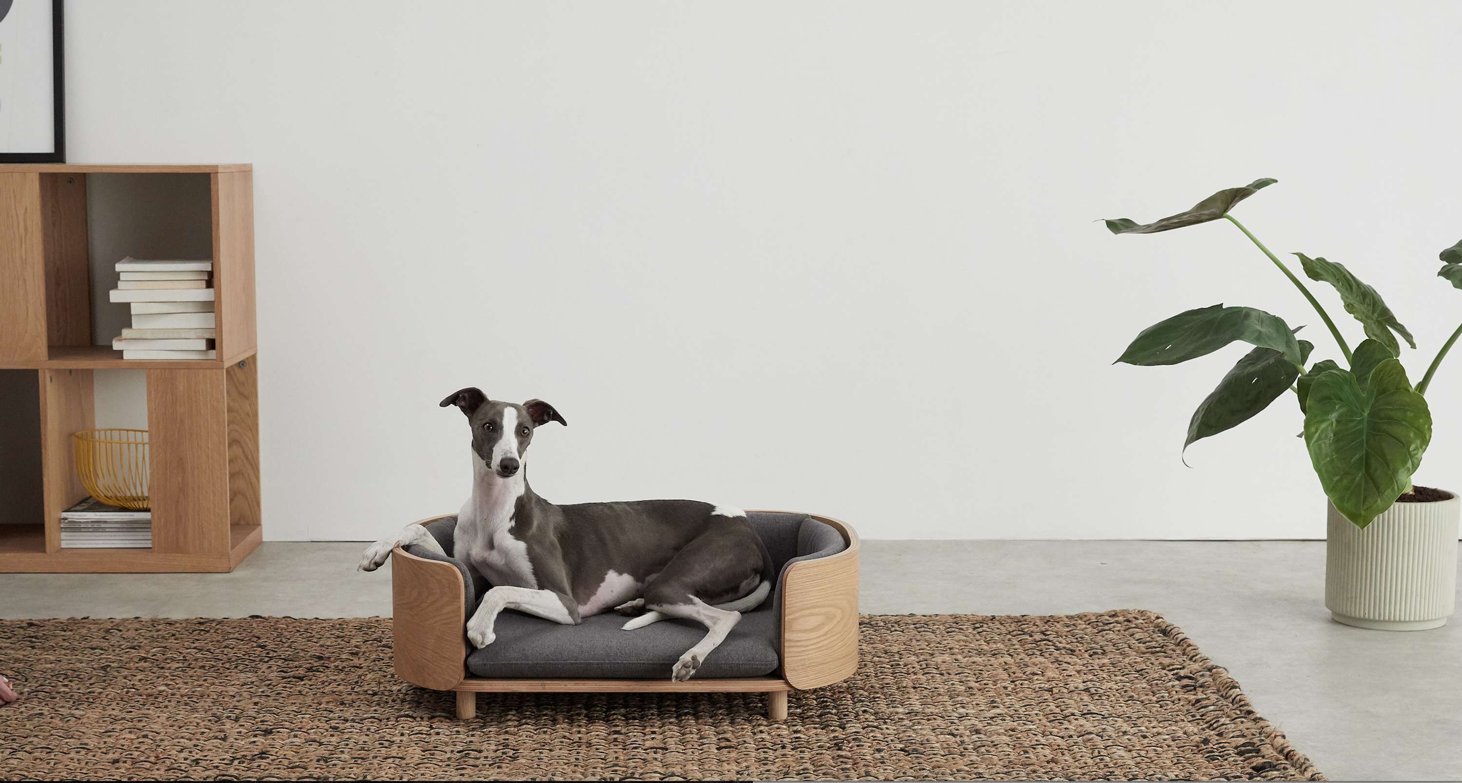 Pet Accessories Ecommerce Shoot : MADE.com by Camille Freemantle