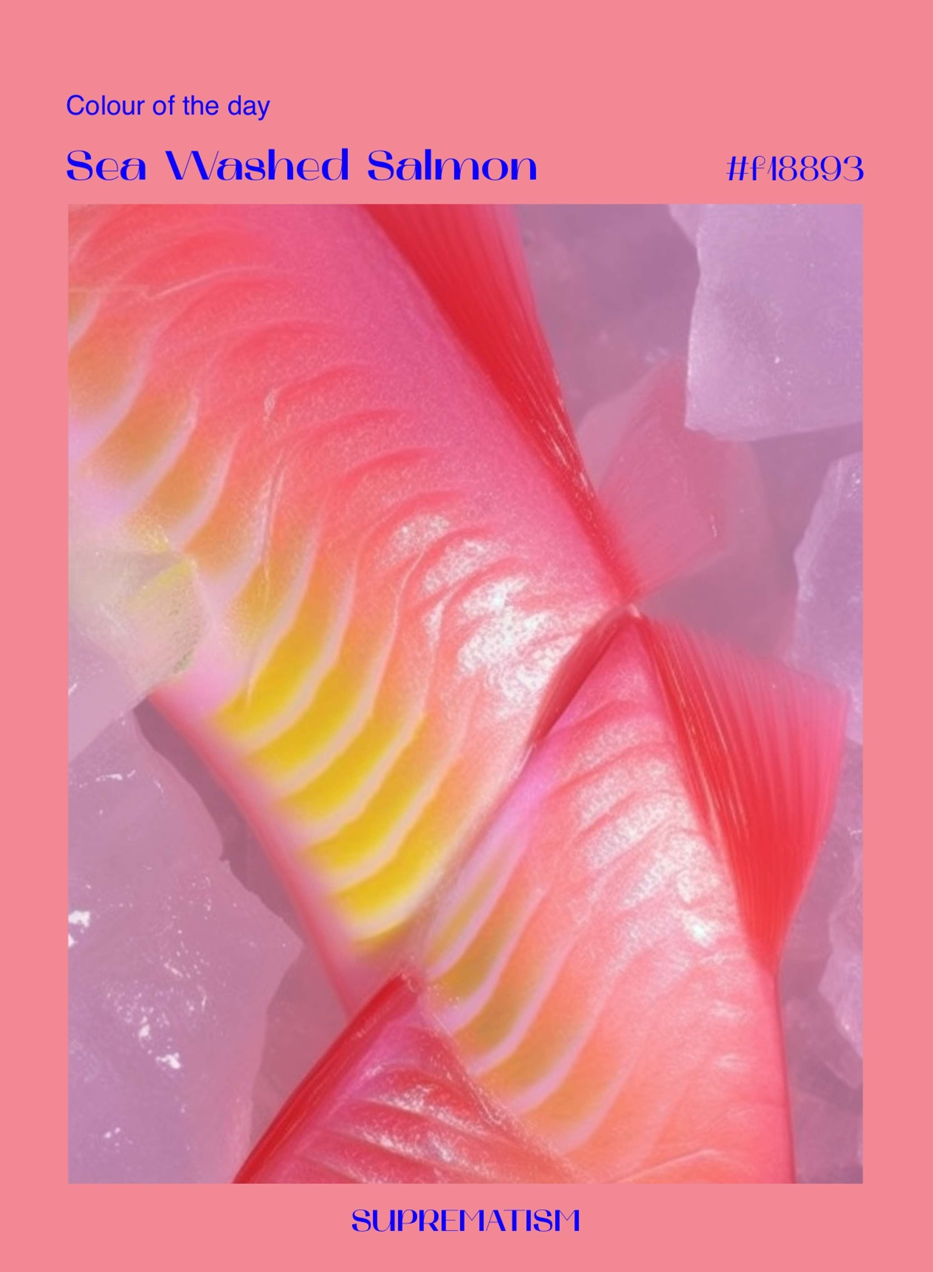 Colour of the Day by Svitlana Kolesnichenko