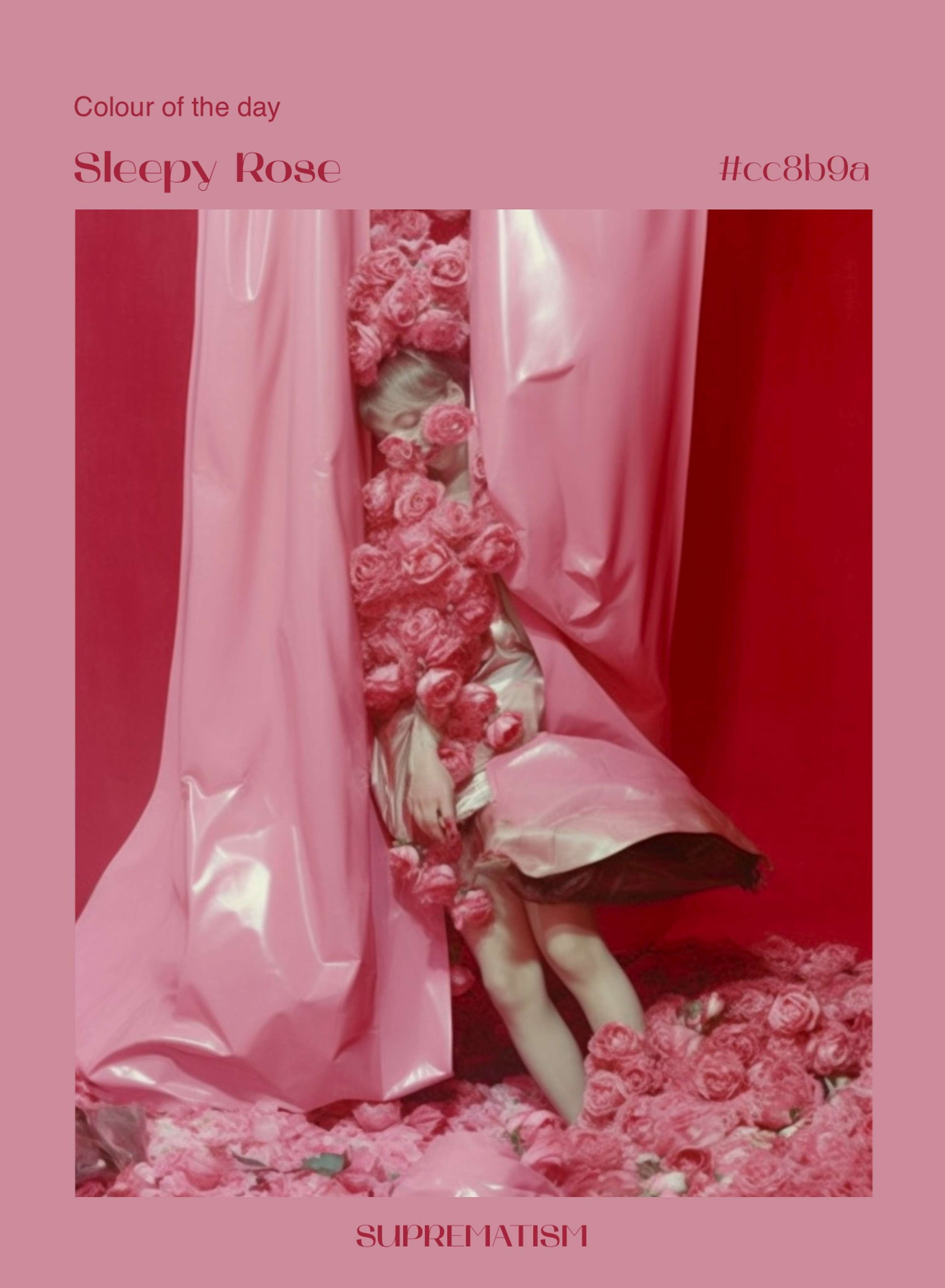 Colour of the Day by Svitlana Kolesnichenko
