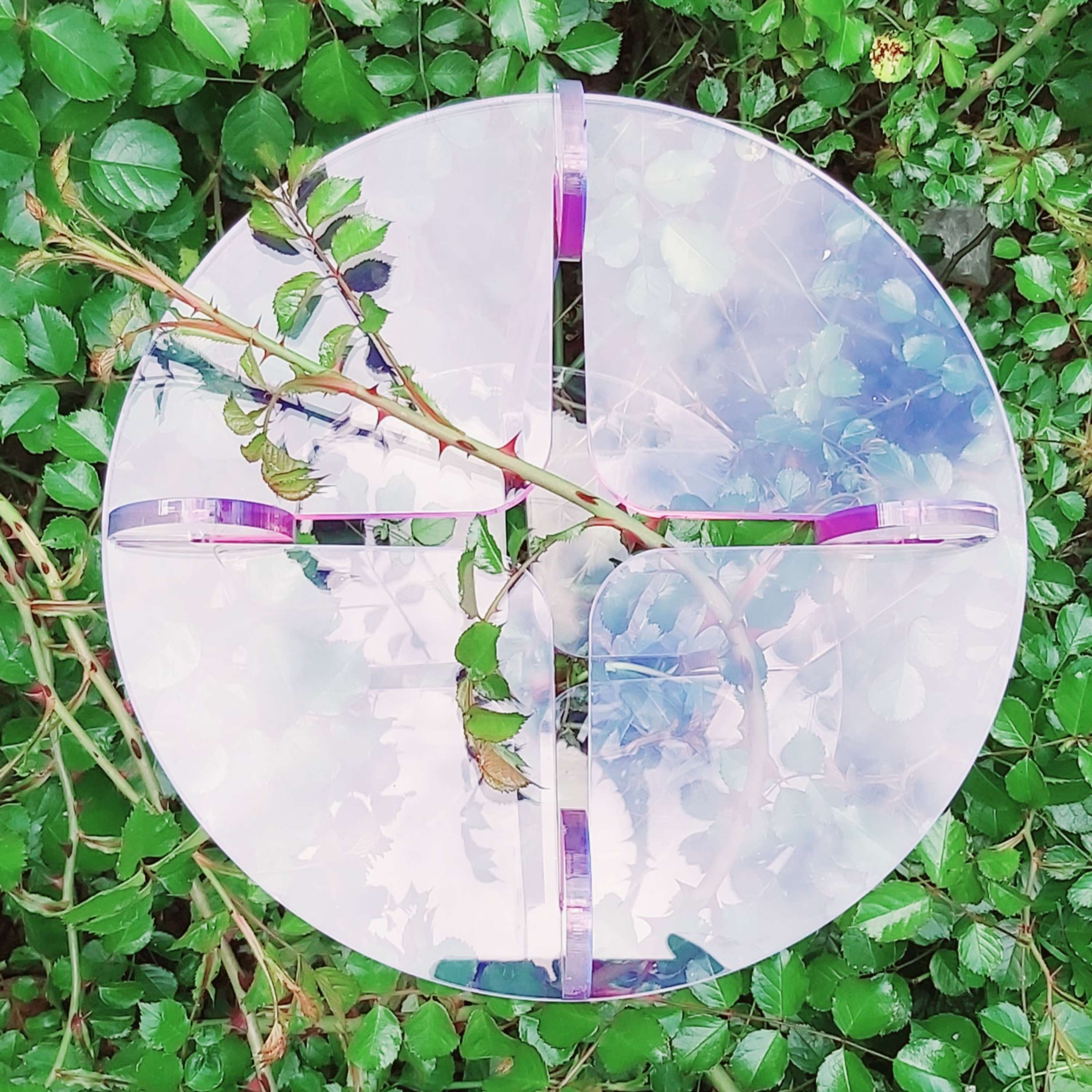 Open Source Plant Stands by Renata Aminian