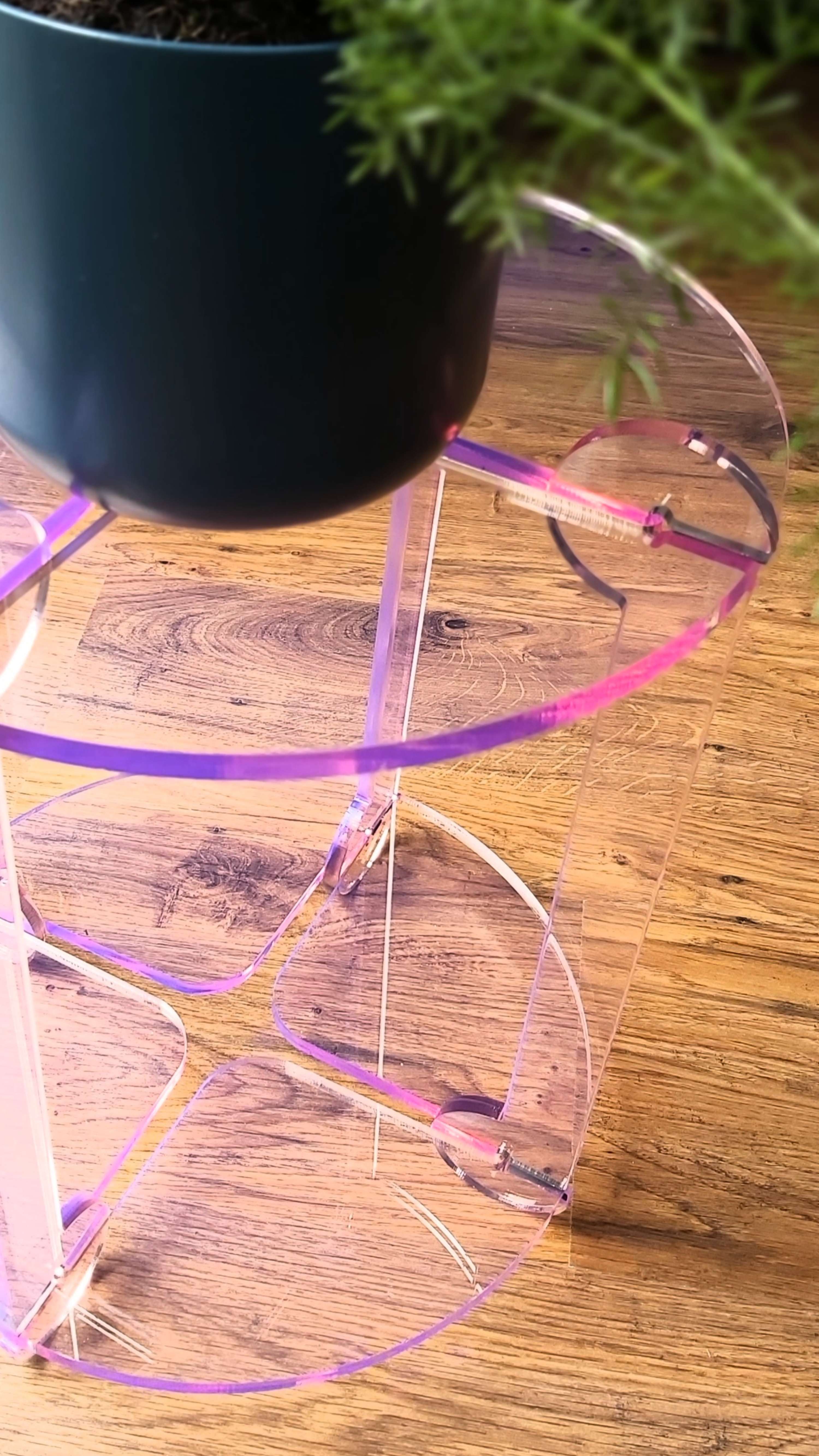 Open Source Plant Stands by Renata Aminian