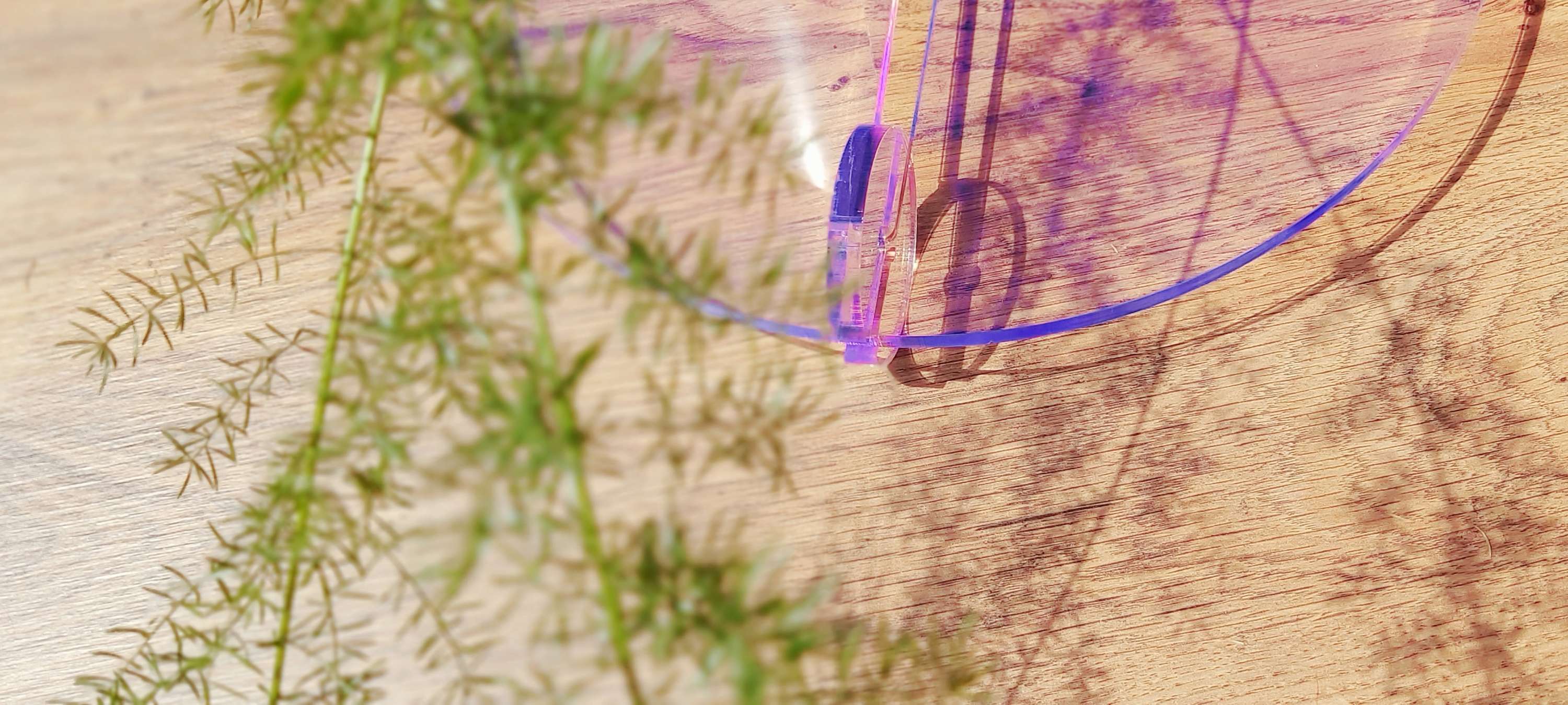 Open Source Plant Stands by Renata Aminian