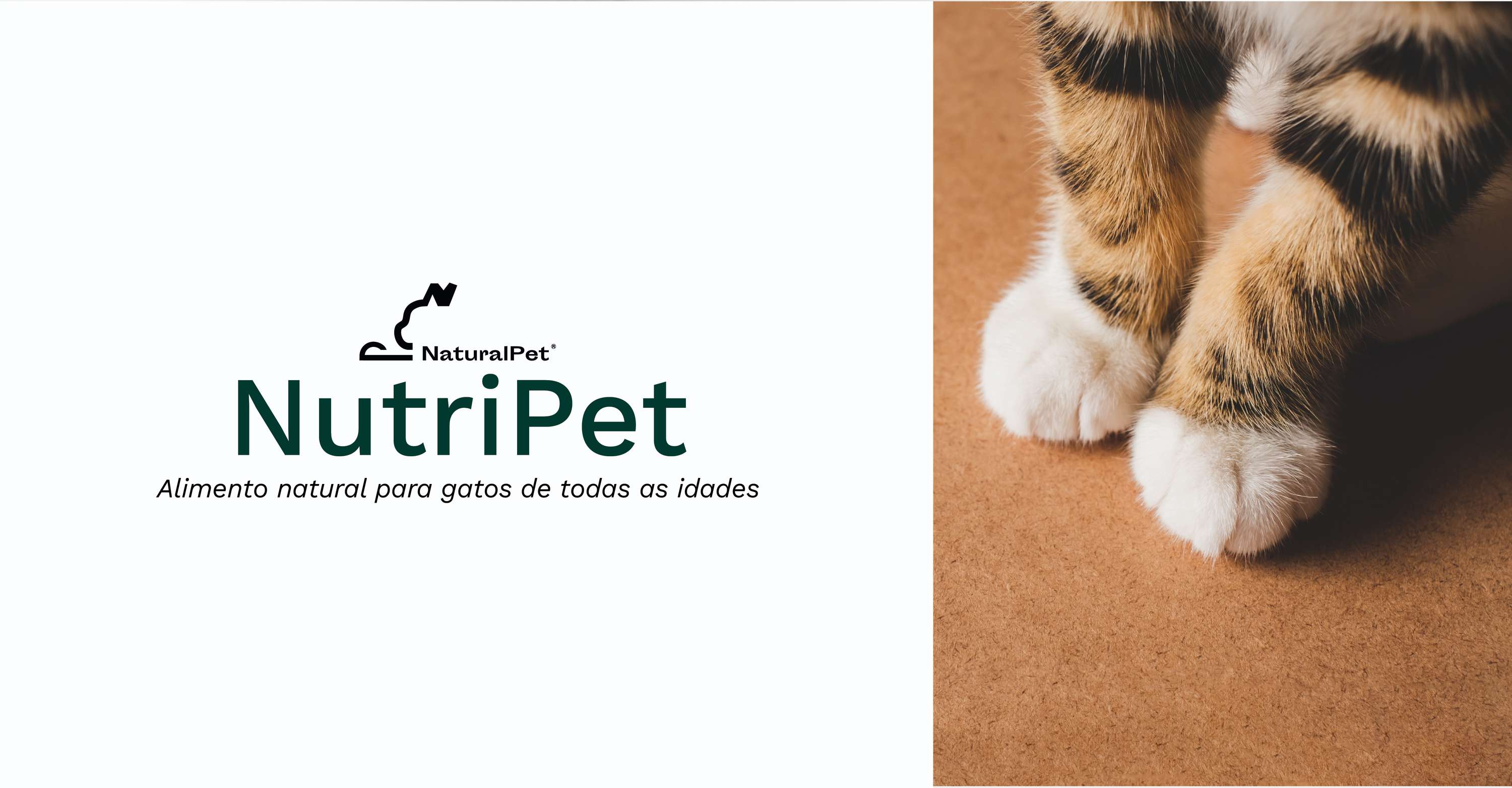 NutriPet by Natacha Oliveira