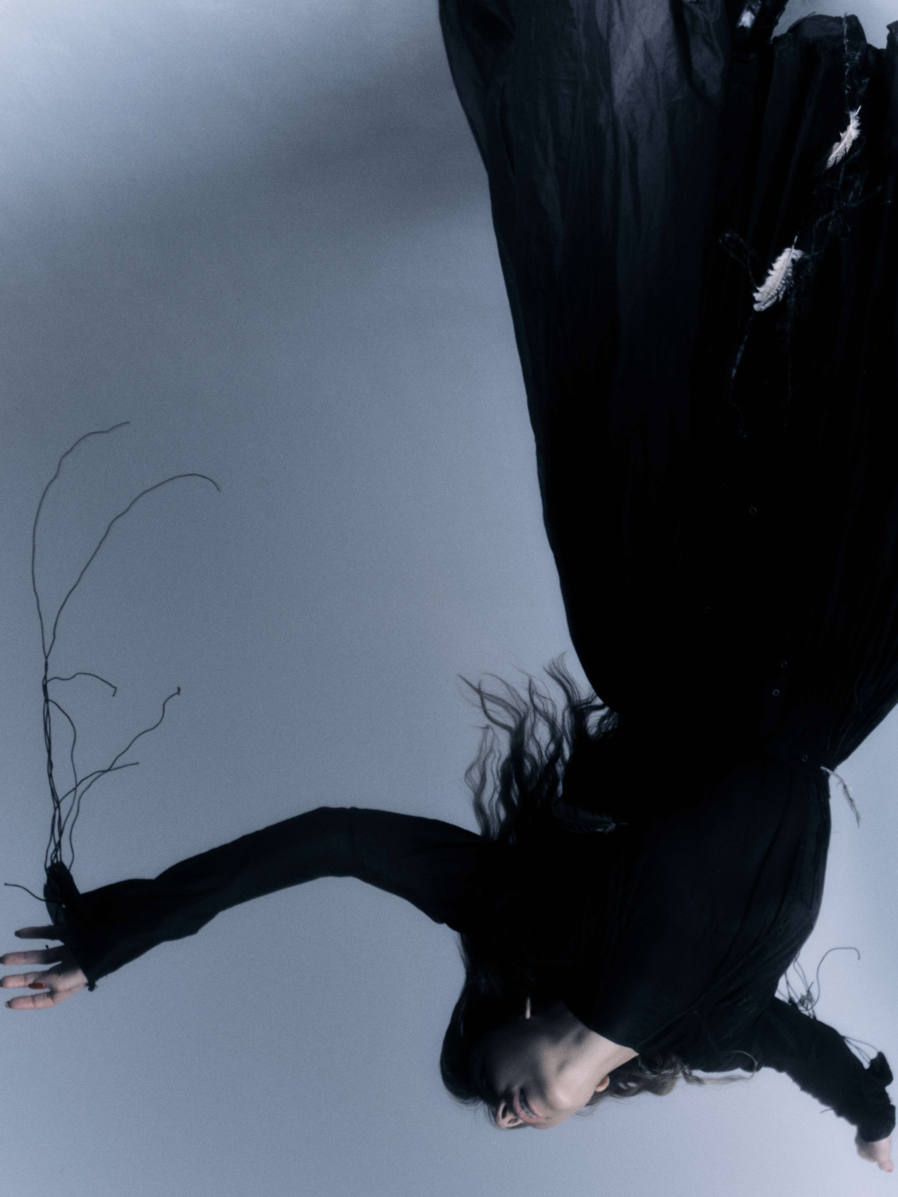 Grief is The Thing With Feathers by Vasilisa Forbes