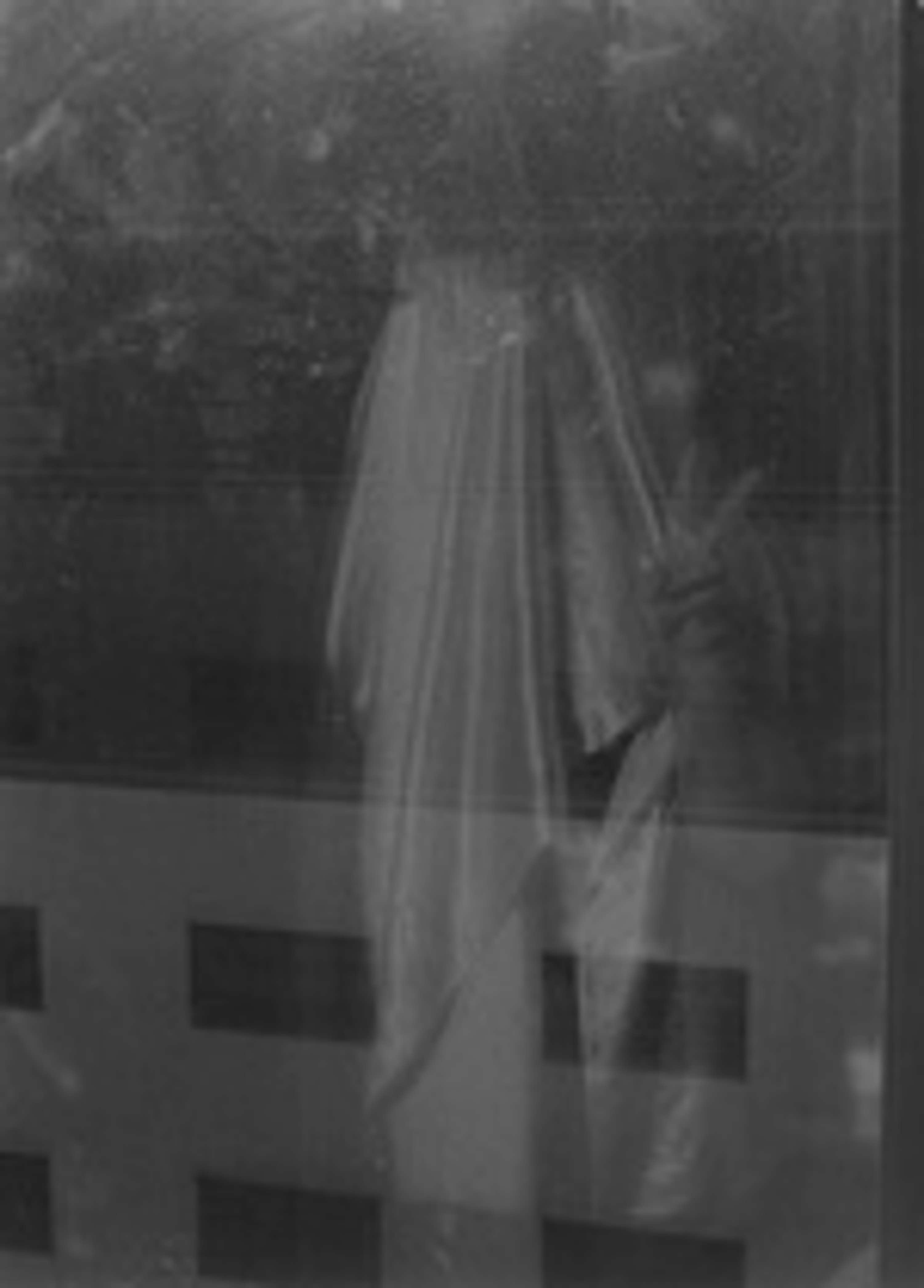 SPEAKING WITH SPIRITS by Lucy Colbourne