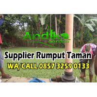 0857 3259 0133, Biaya Rumput Gajah Mini Demak logo