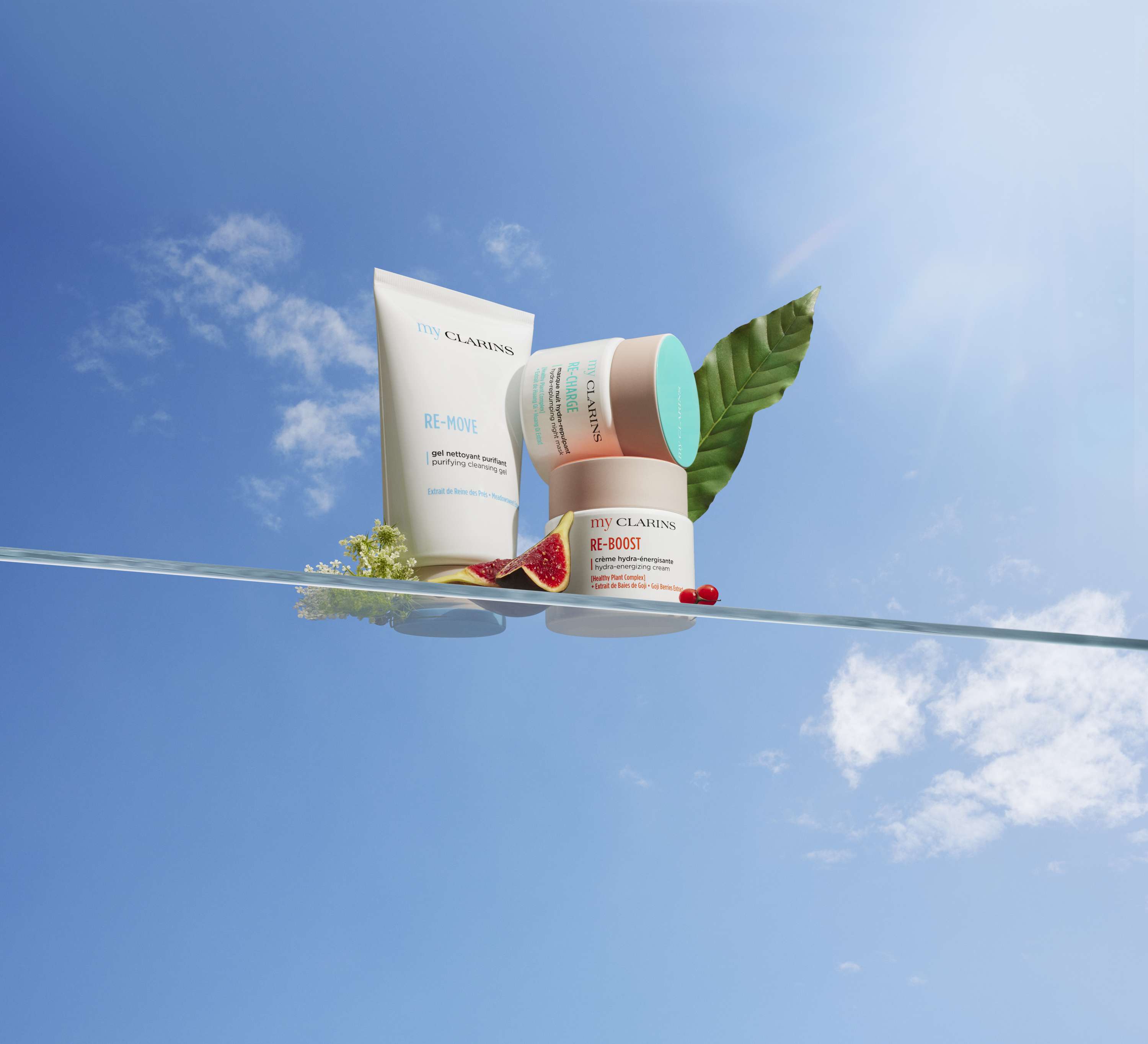 My Clarins by Companion Artists Ltd