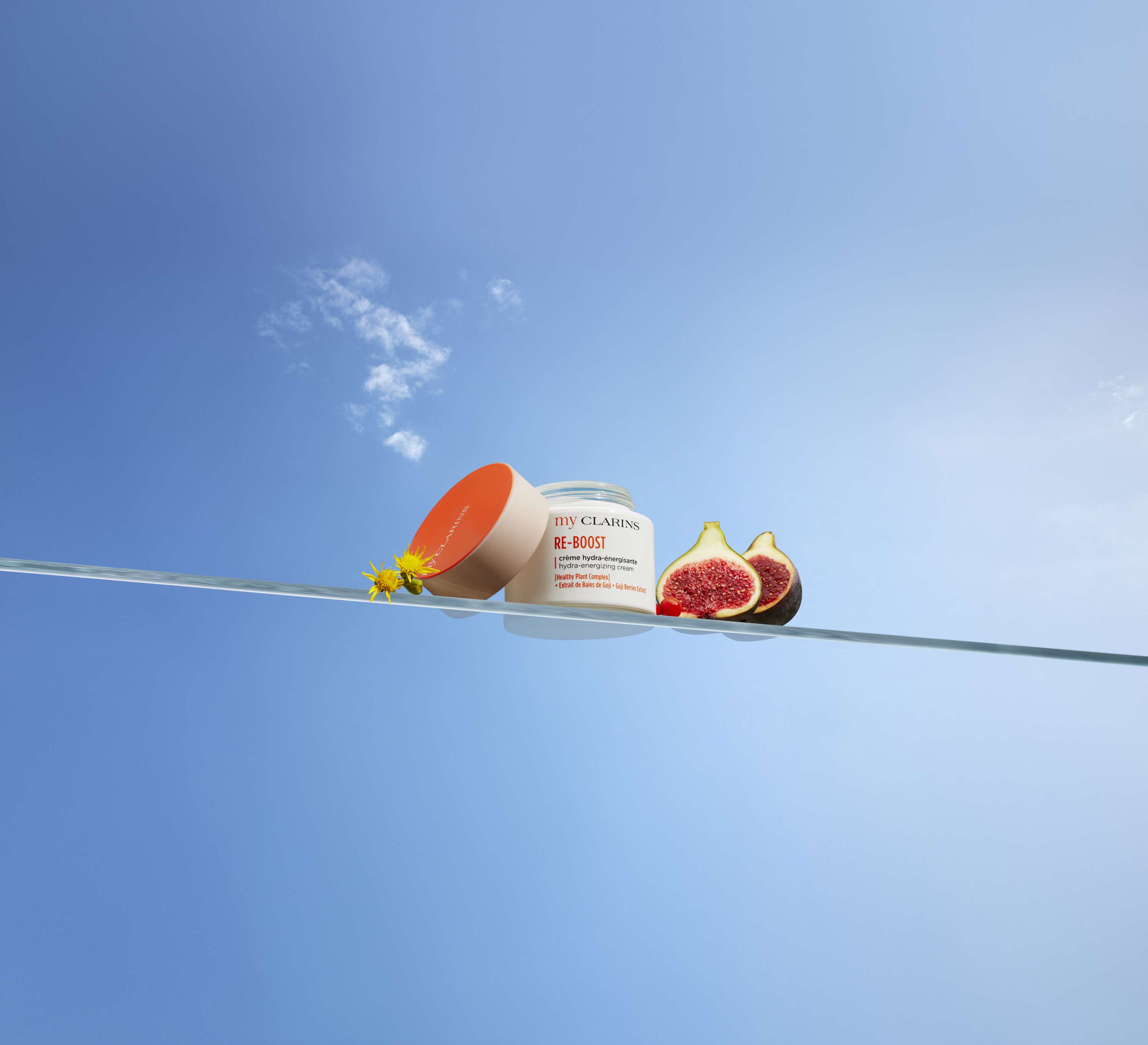 My Clarins by Companion Artists Ltd