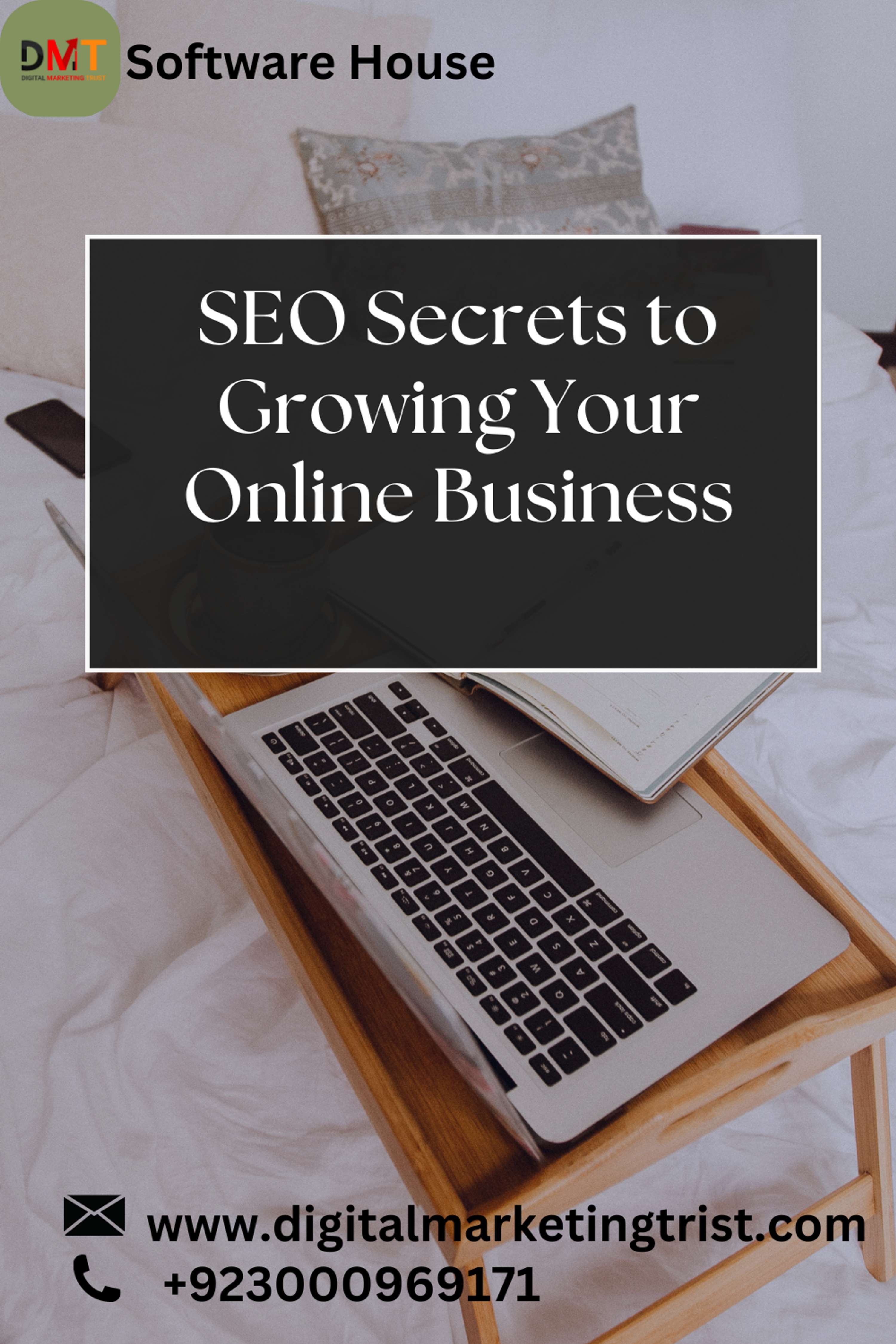 SEO by aneela akram