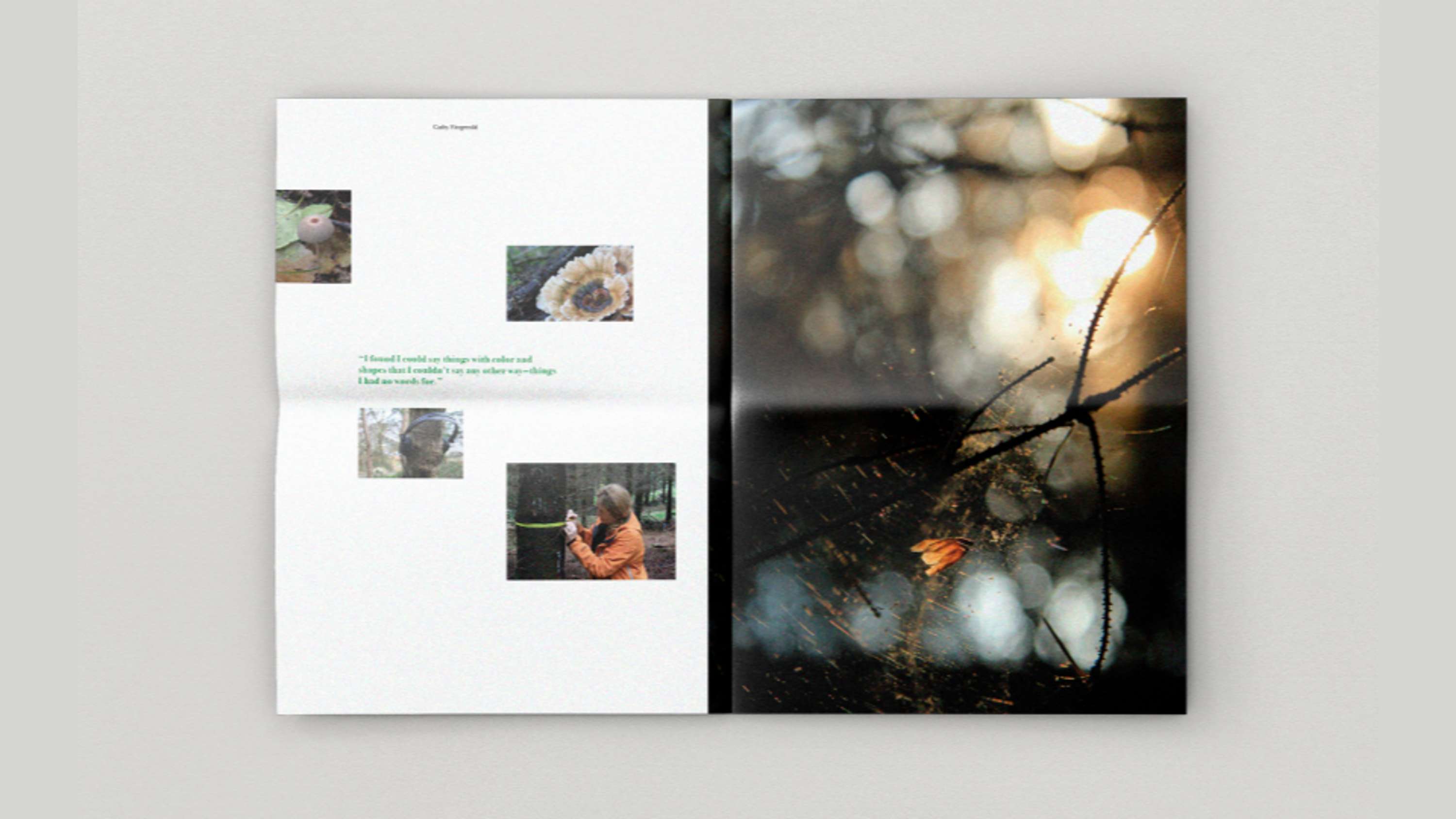 The LAB Gallery Magazine Proposal by Alice Moloney