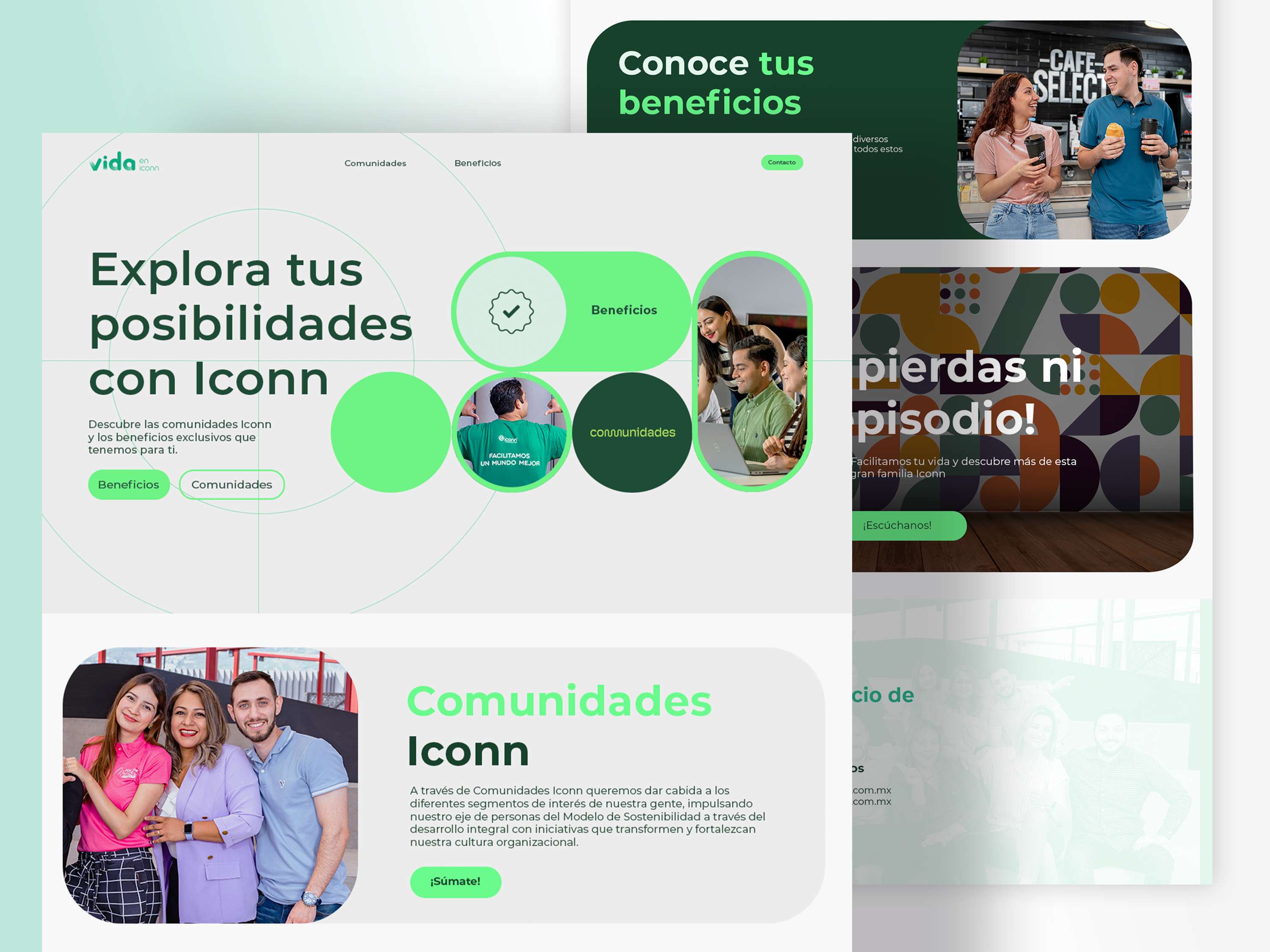 Vida en Iconn Website by Samantha Arredondo