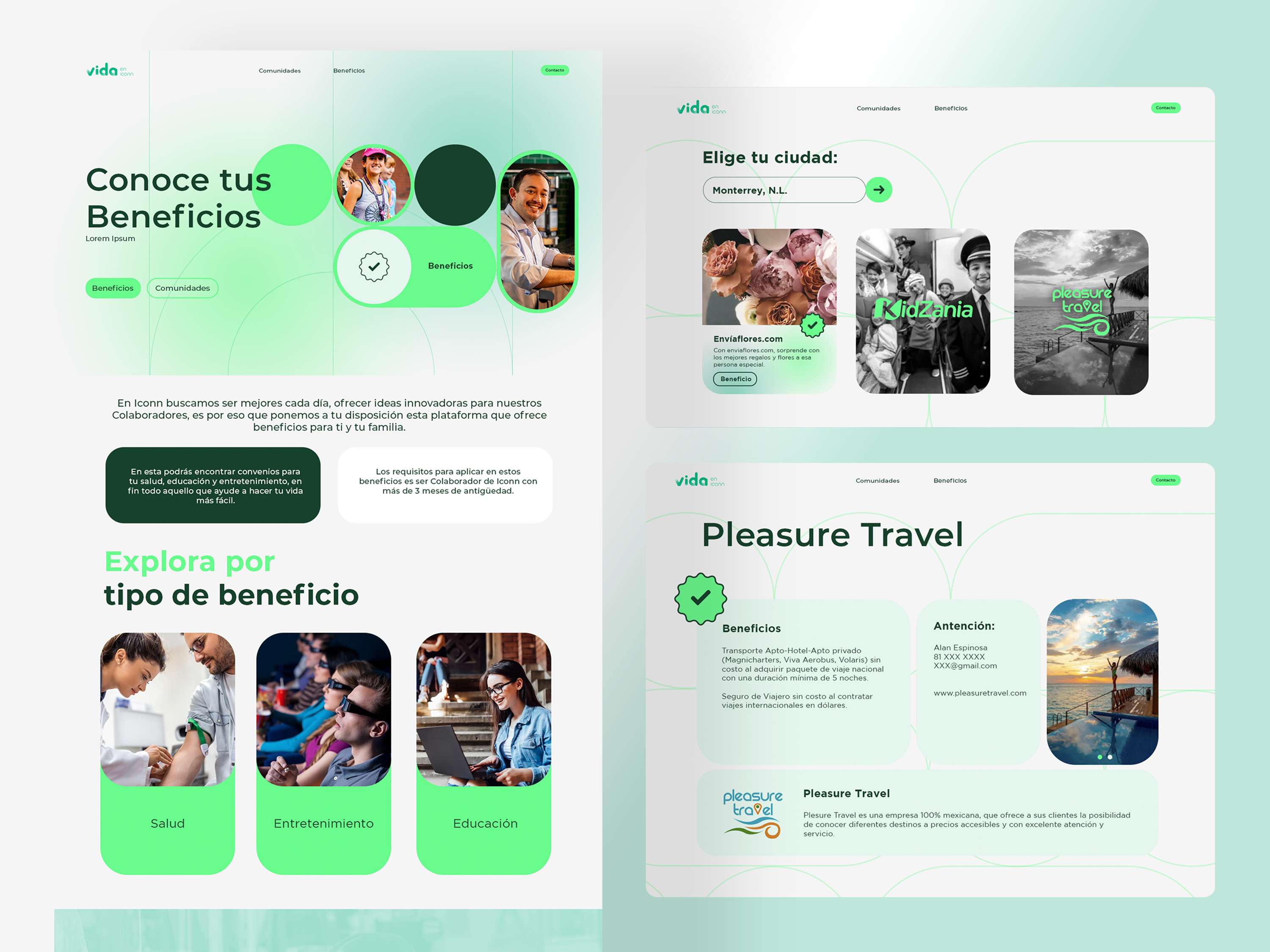 Vida en Iconn Website by Samantha Arredondo