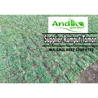 0857 3259 0133, Jual Rumput Gajah Mini Pati logo