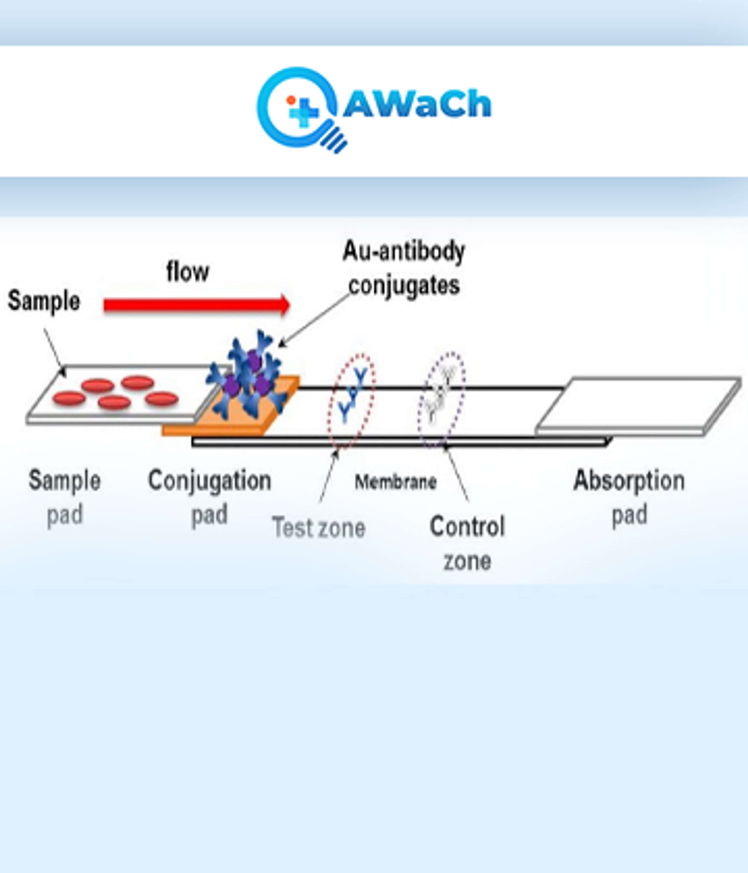 Lateral Flow Assay by Qawach Bio