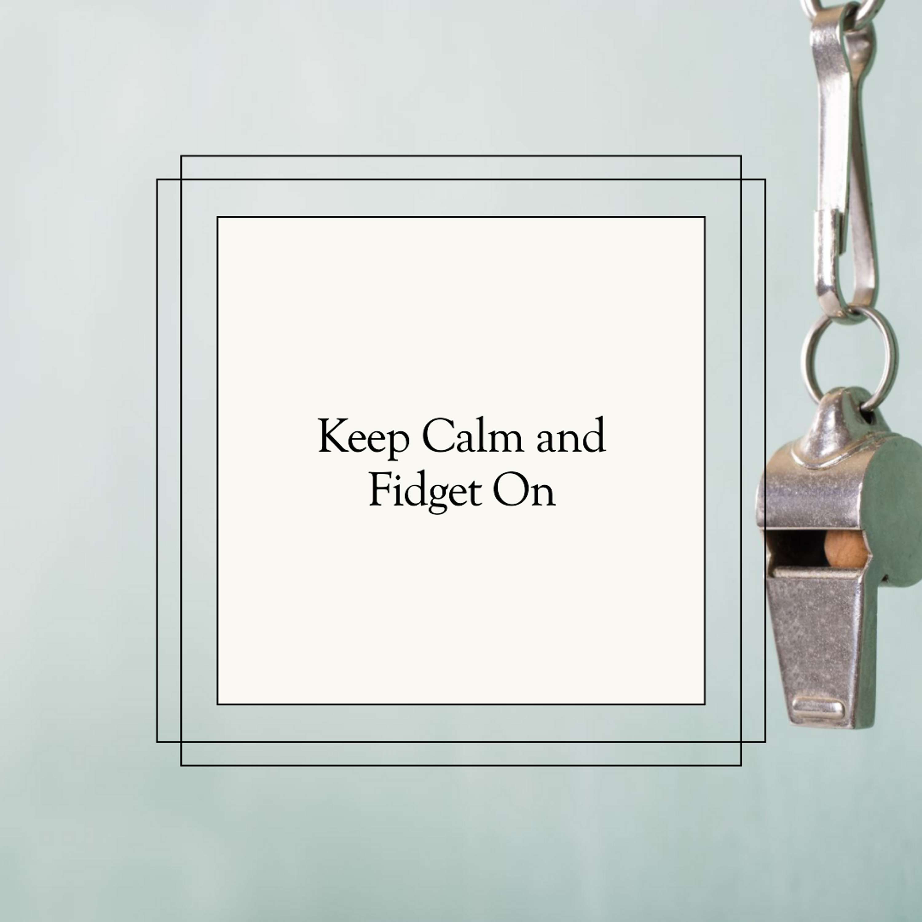 Fidget Keychains in Bulk for Adults by Meetall Shop