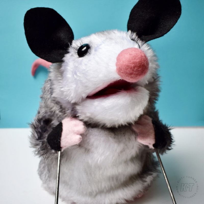 Blossom the Opossum by Kitty Turner