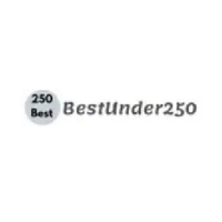 Best Under 250 logo