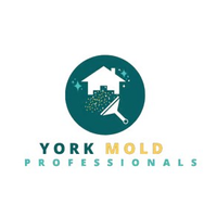 Mold Remediation York PA Solutions logo