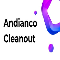 Andianco Cleanout logo