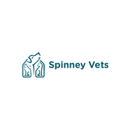 Spinney Vets - Wootton Fields | Northampton logo