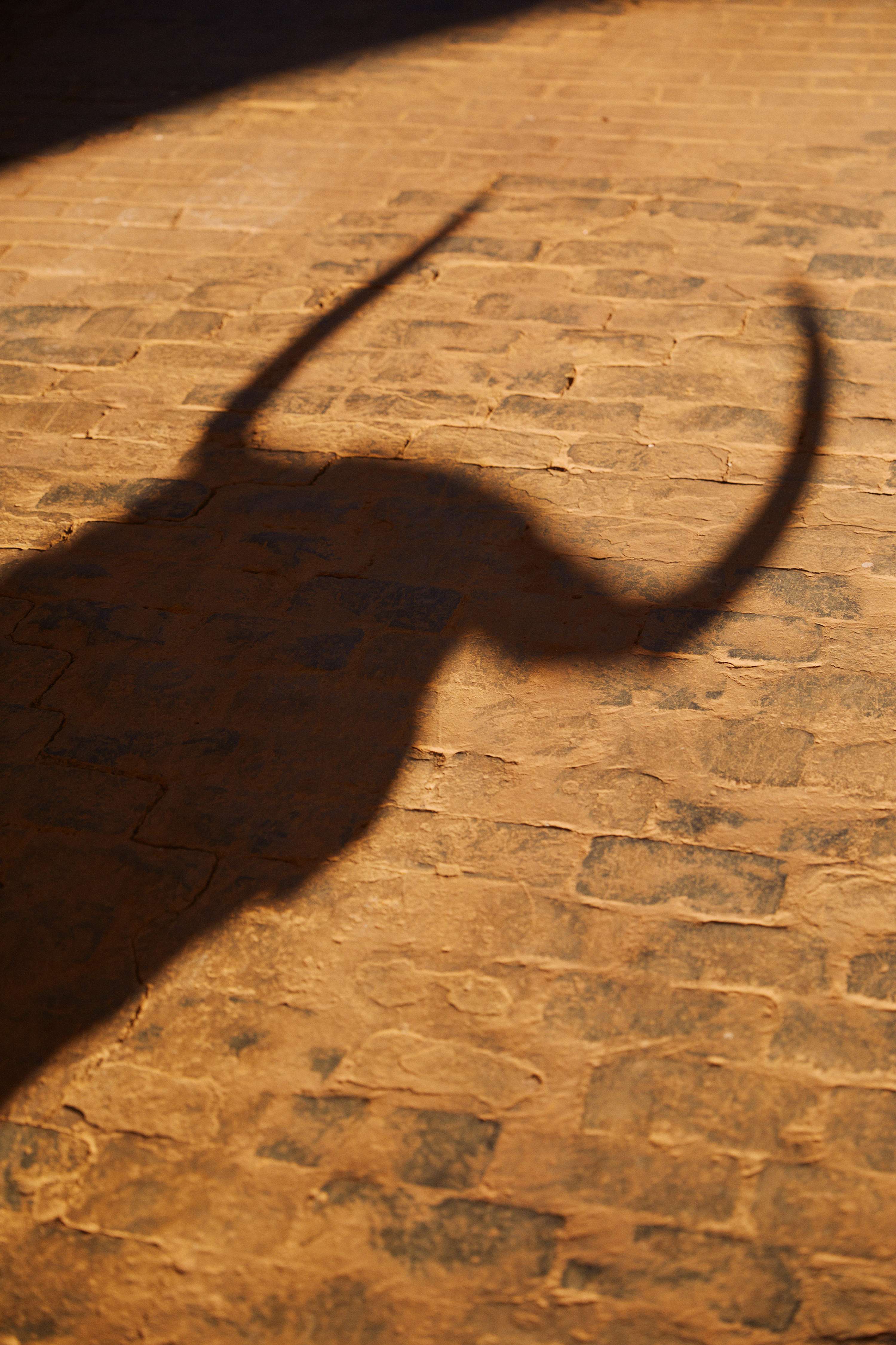 The Matadors by Owen Harvey