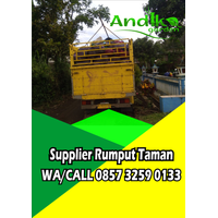 0857 3259 0133, Distributor Rumput Gajah Mini Kota Pasuruan logo