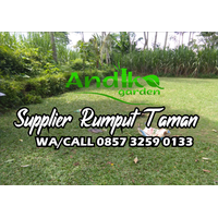 0857 3259 0133, Distributor Rumput Gajah Mini Kota Probolinggo logo