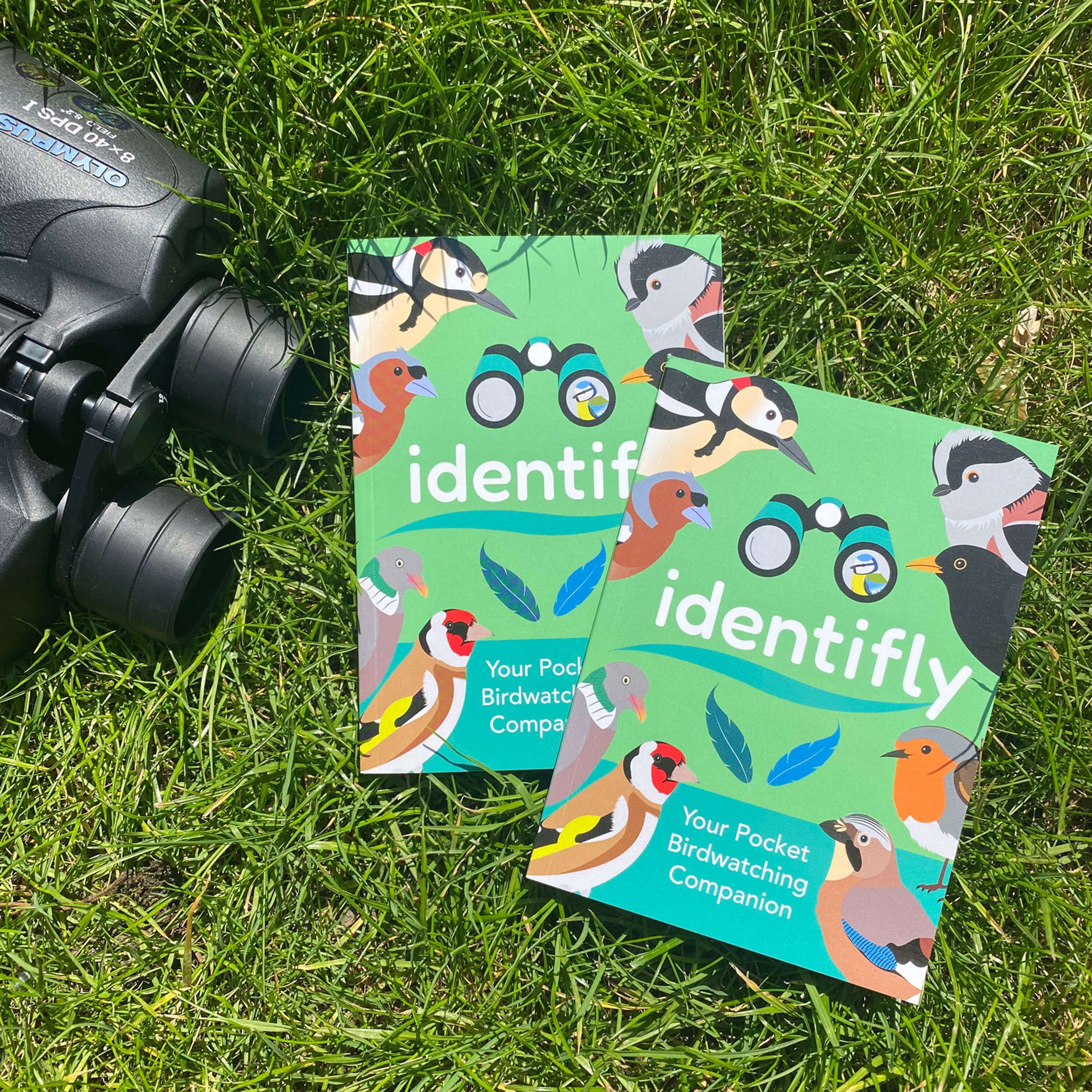 IDENTIFLY by Sophie Wade