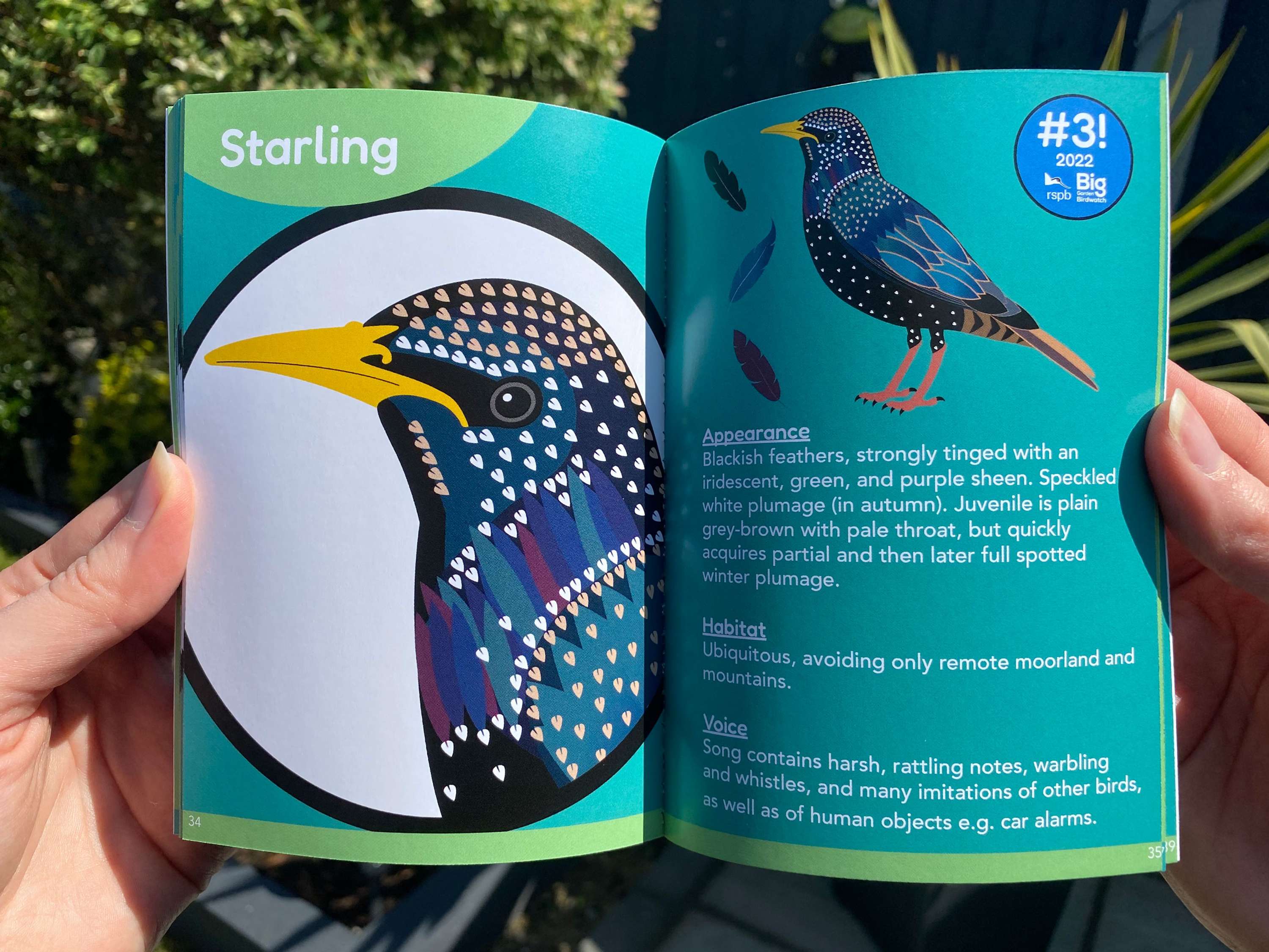 IDENTIFLY by Sophie Wade