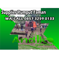 0857 3259 0133, Distributor Rumput Gajah Mini Madiun logo