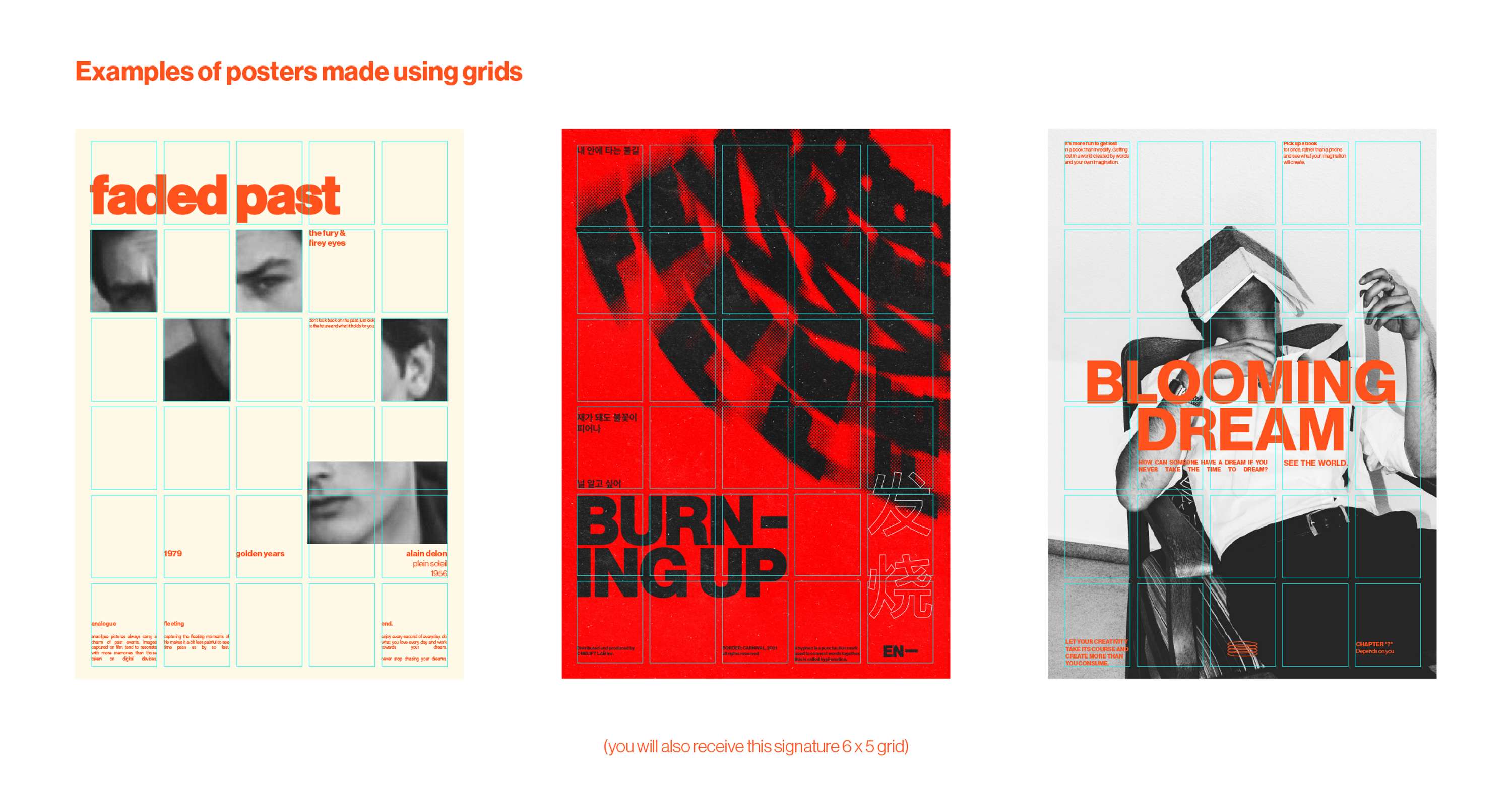 A quick guide to grids by Iris van Dijk