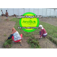 0857 3259 0133, Distributor Rumput Gajah Mini Sumenep logo