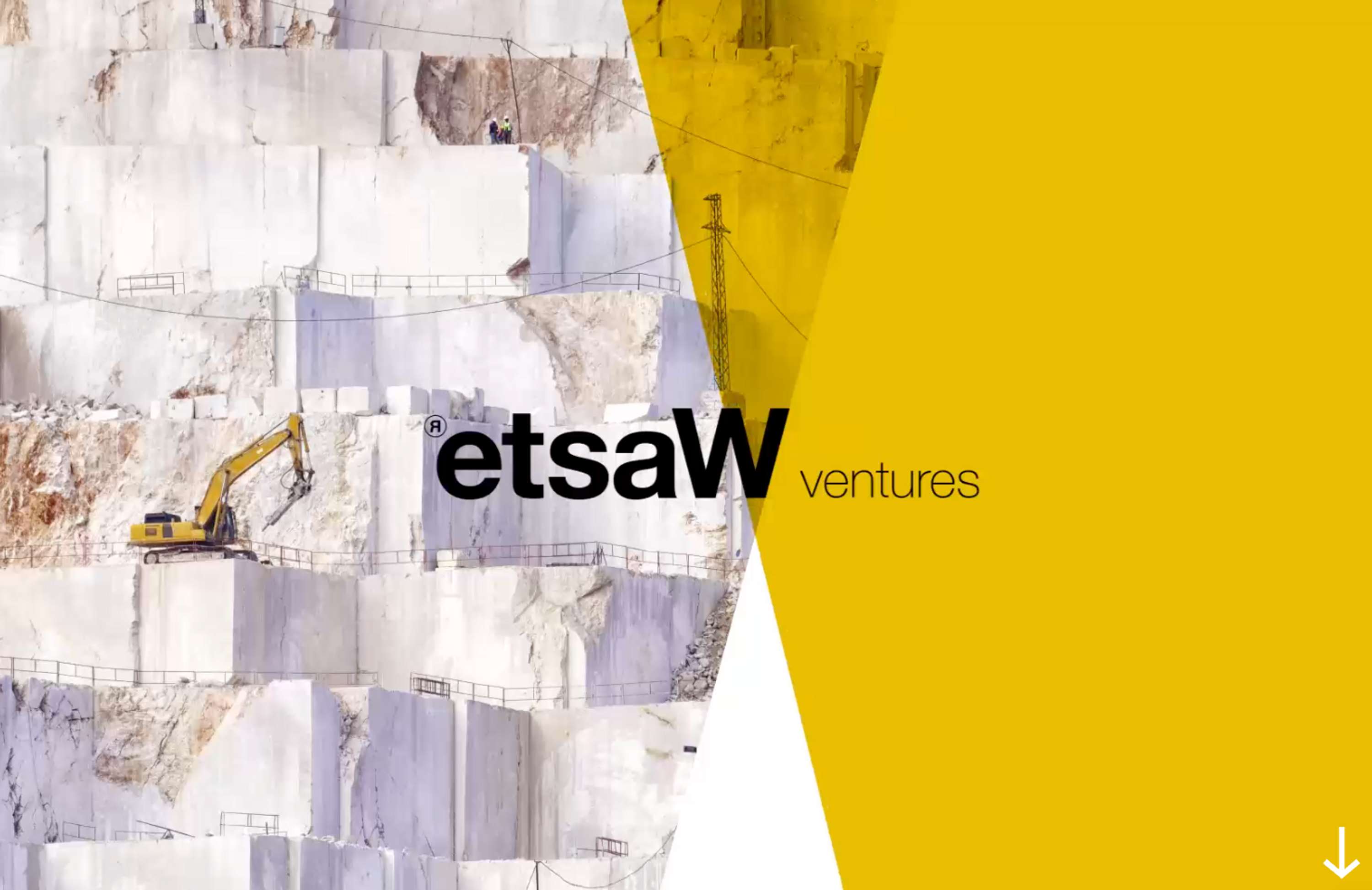 etsaW Ventures Website Update by Leo Sims