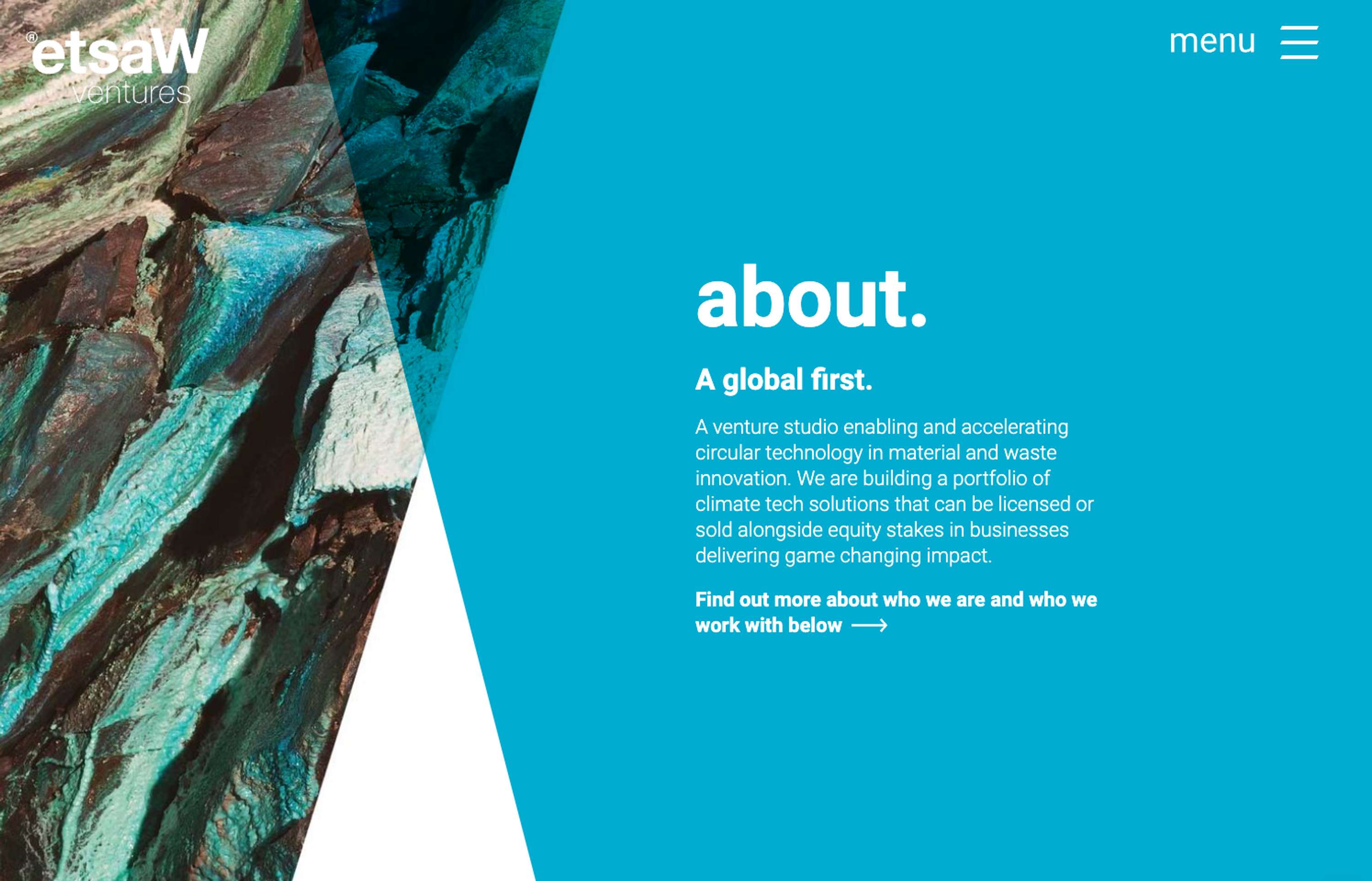 etsaW Ventures Website Update by Leo Sims