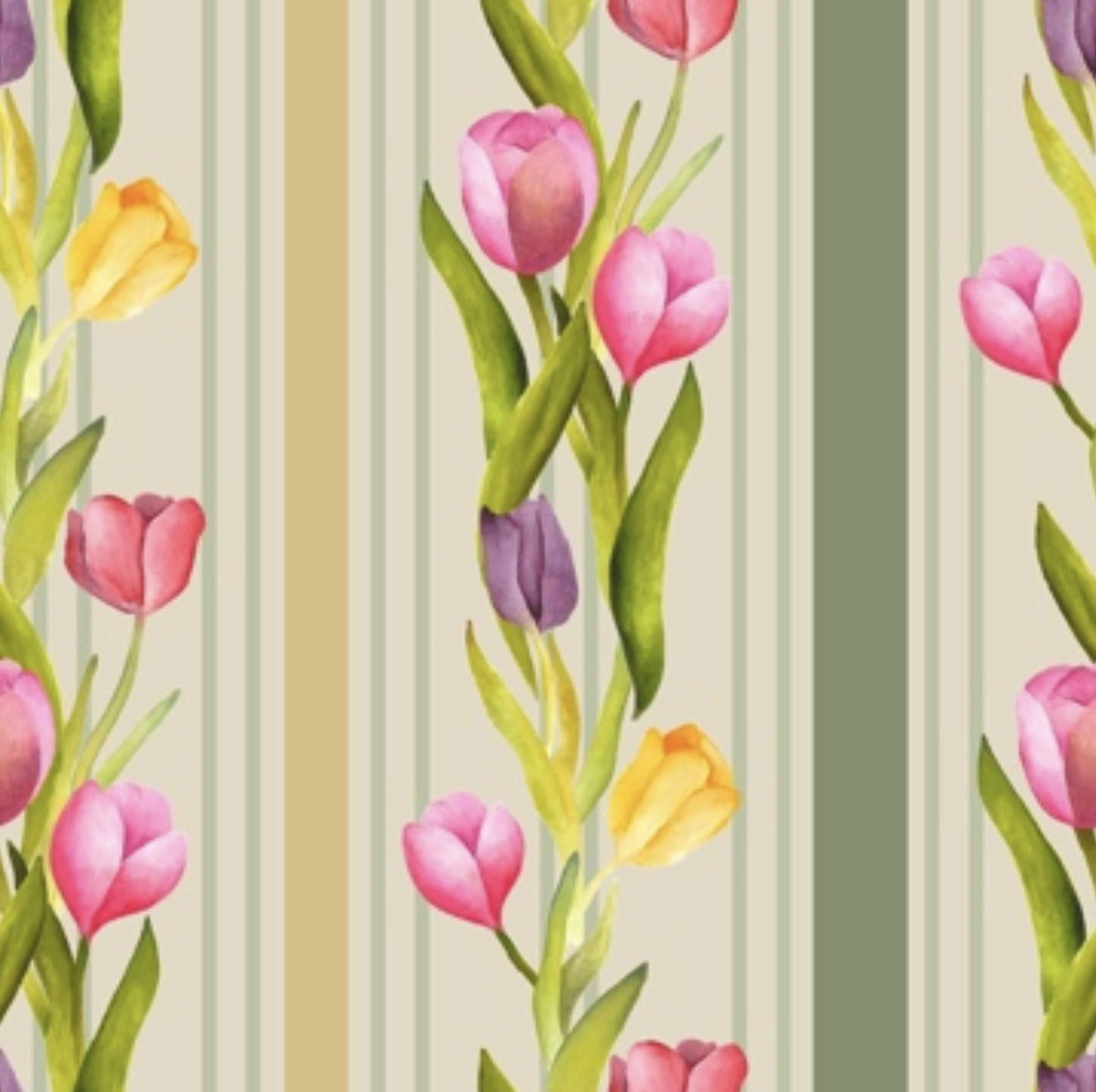 Final Major Project by Elsie-May Chittock