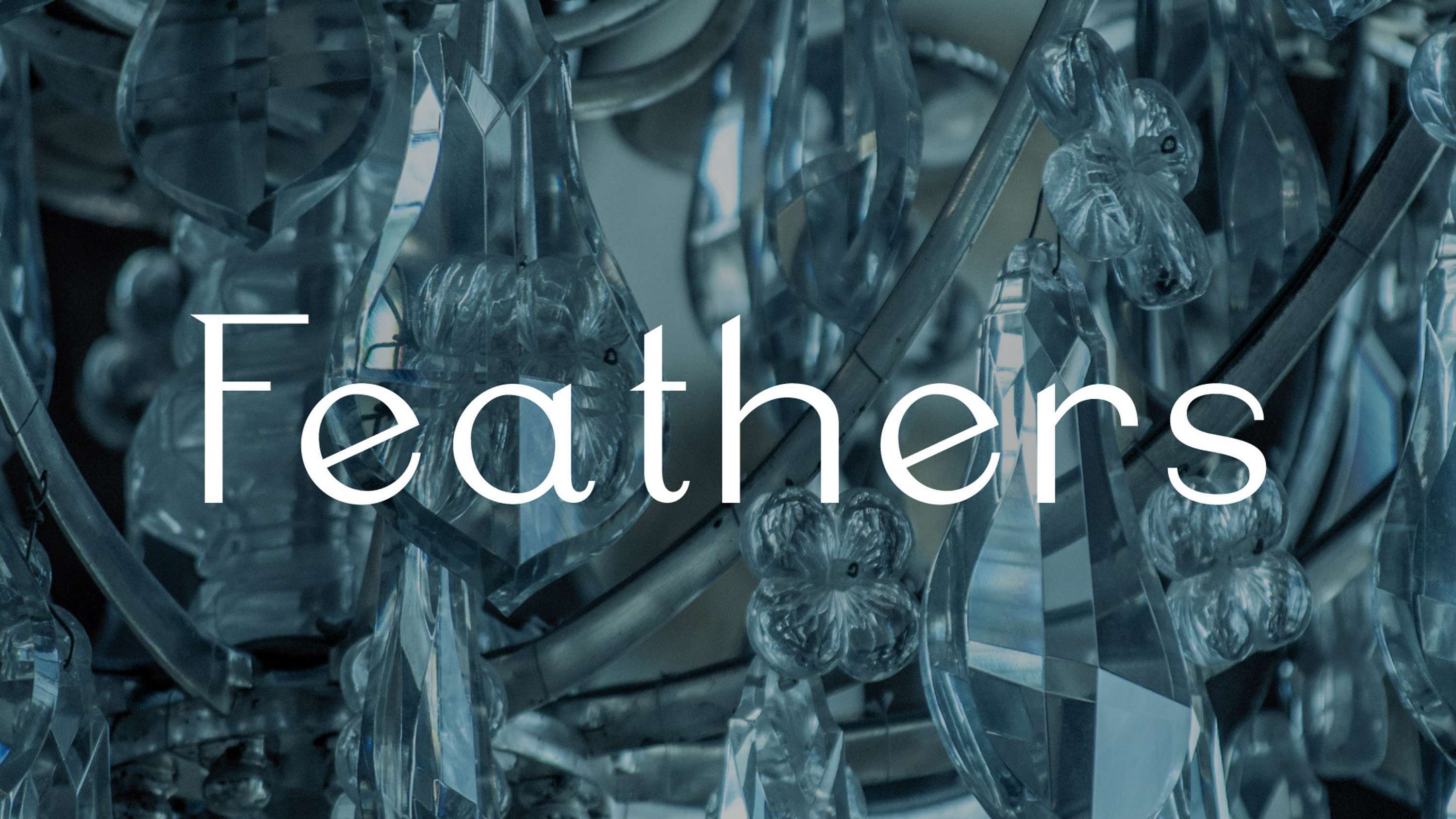 Feathers by Horusay