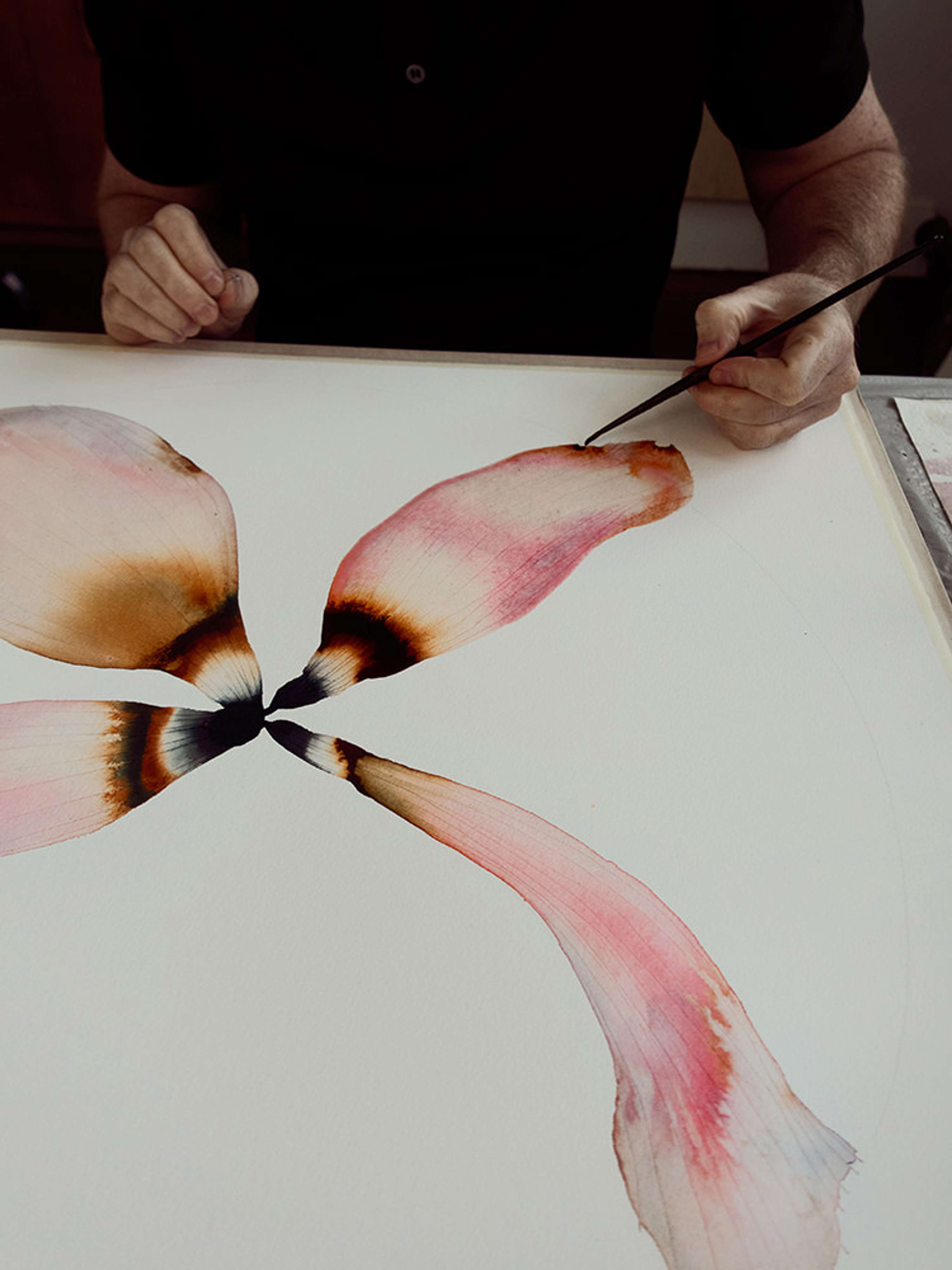 Stephen Doherty: In full bloom by Christopher Prince